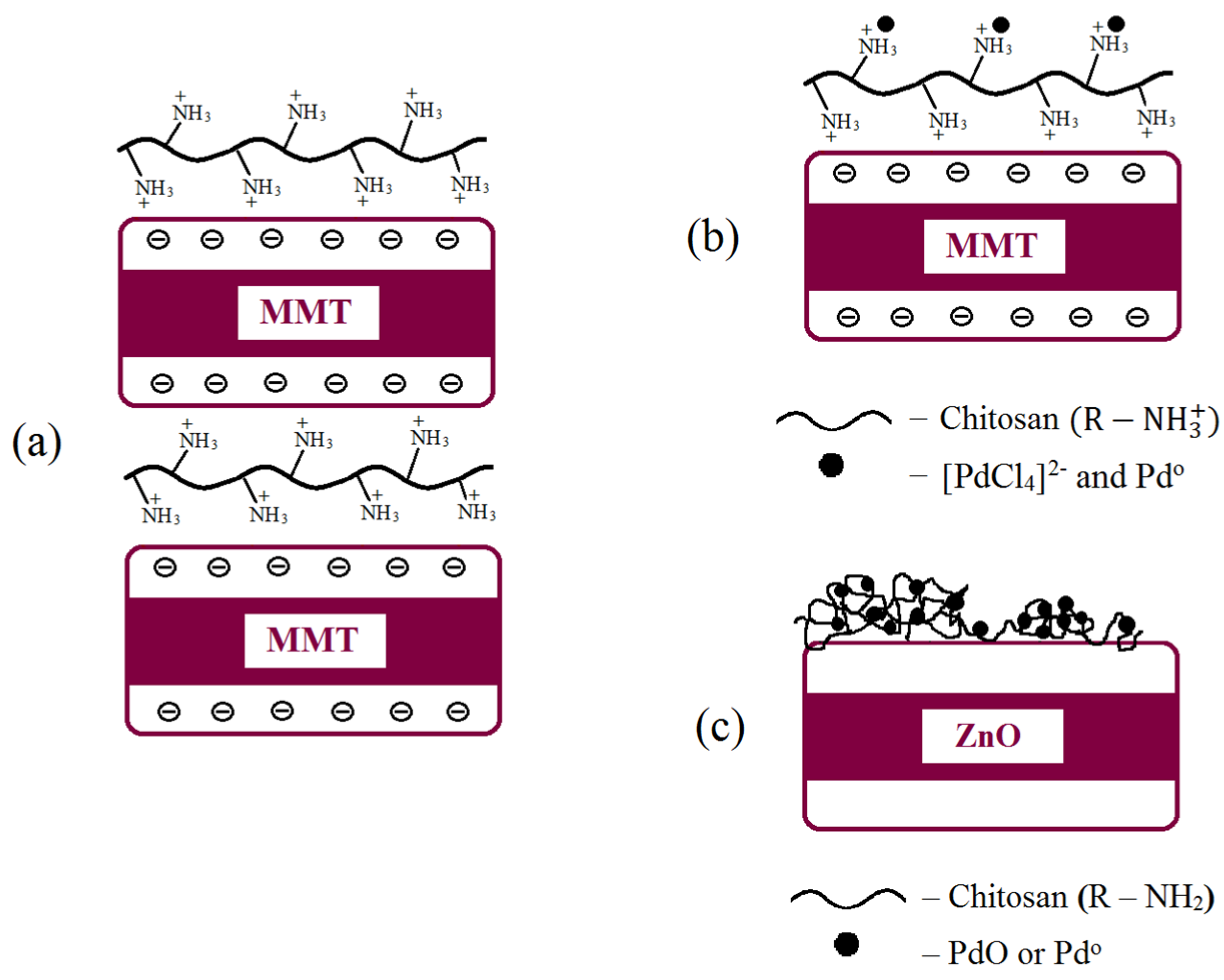Molecules 29 04584 g009