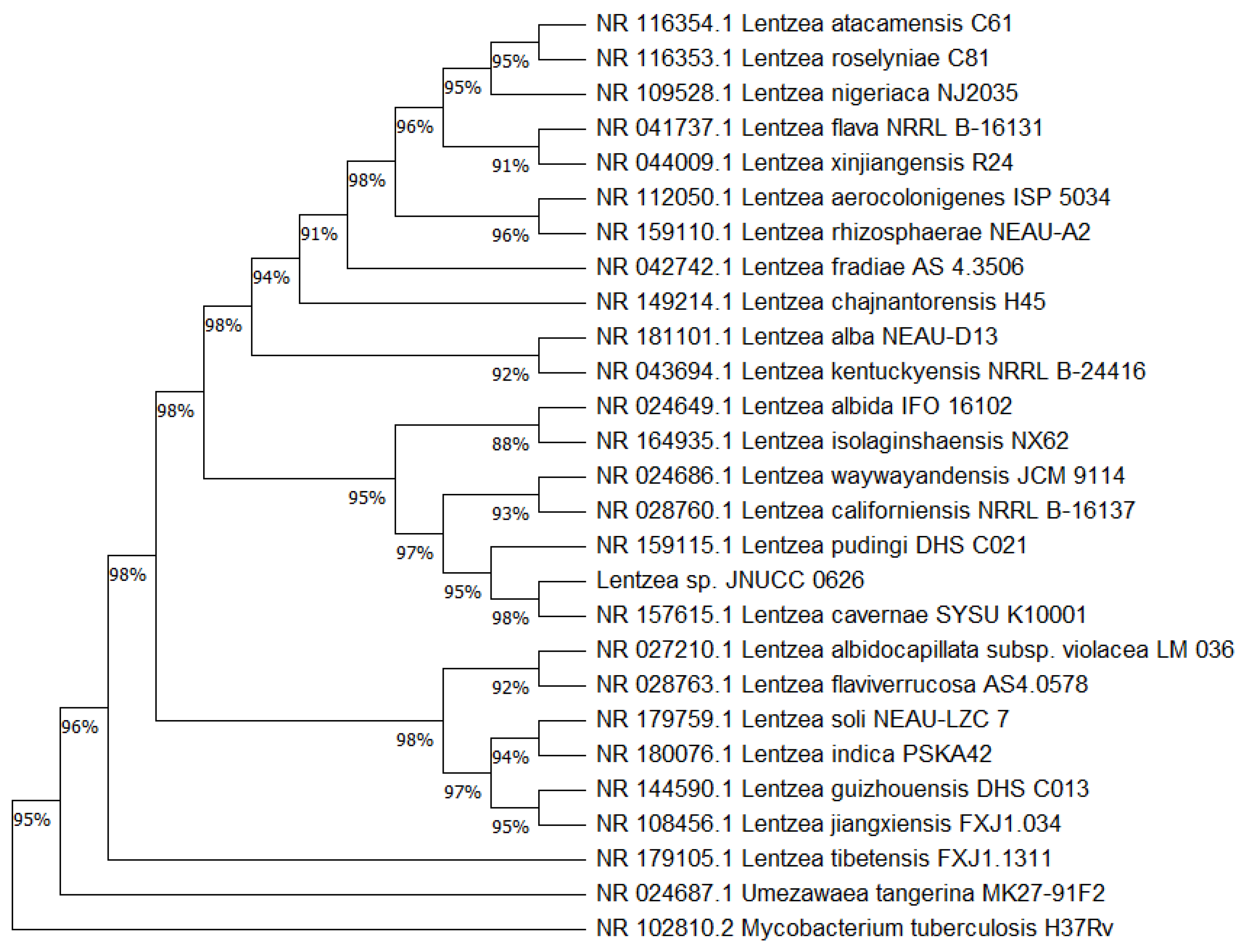 Molecules 29 04586 g001