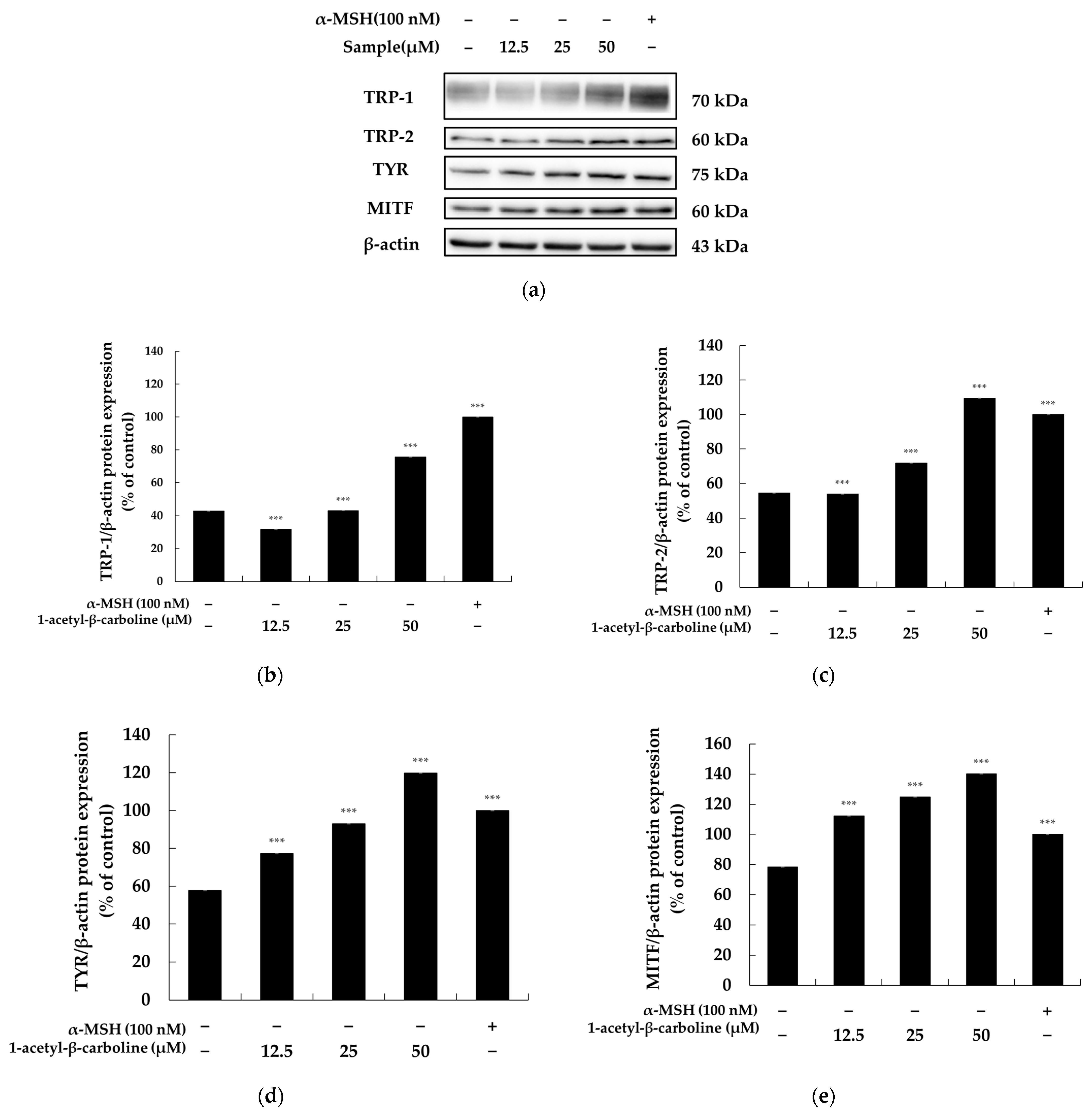 Molecules 29 04586 g005