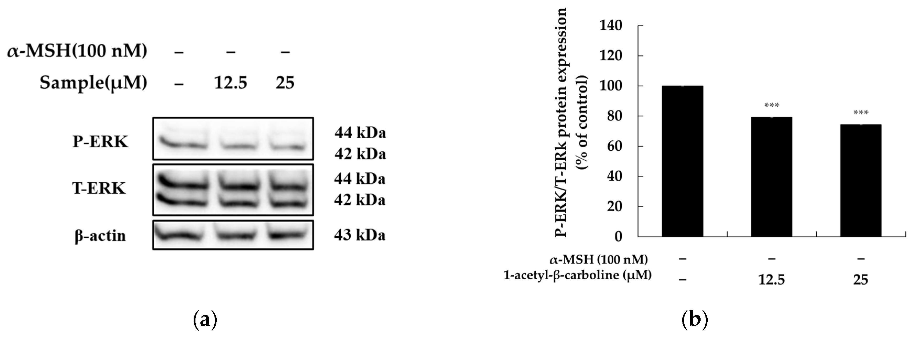 Molecules 29 04586 g006