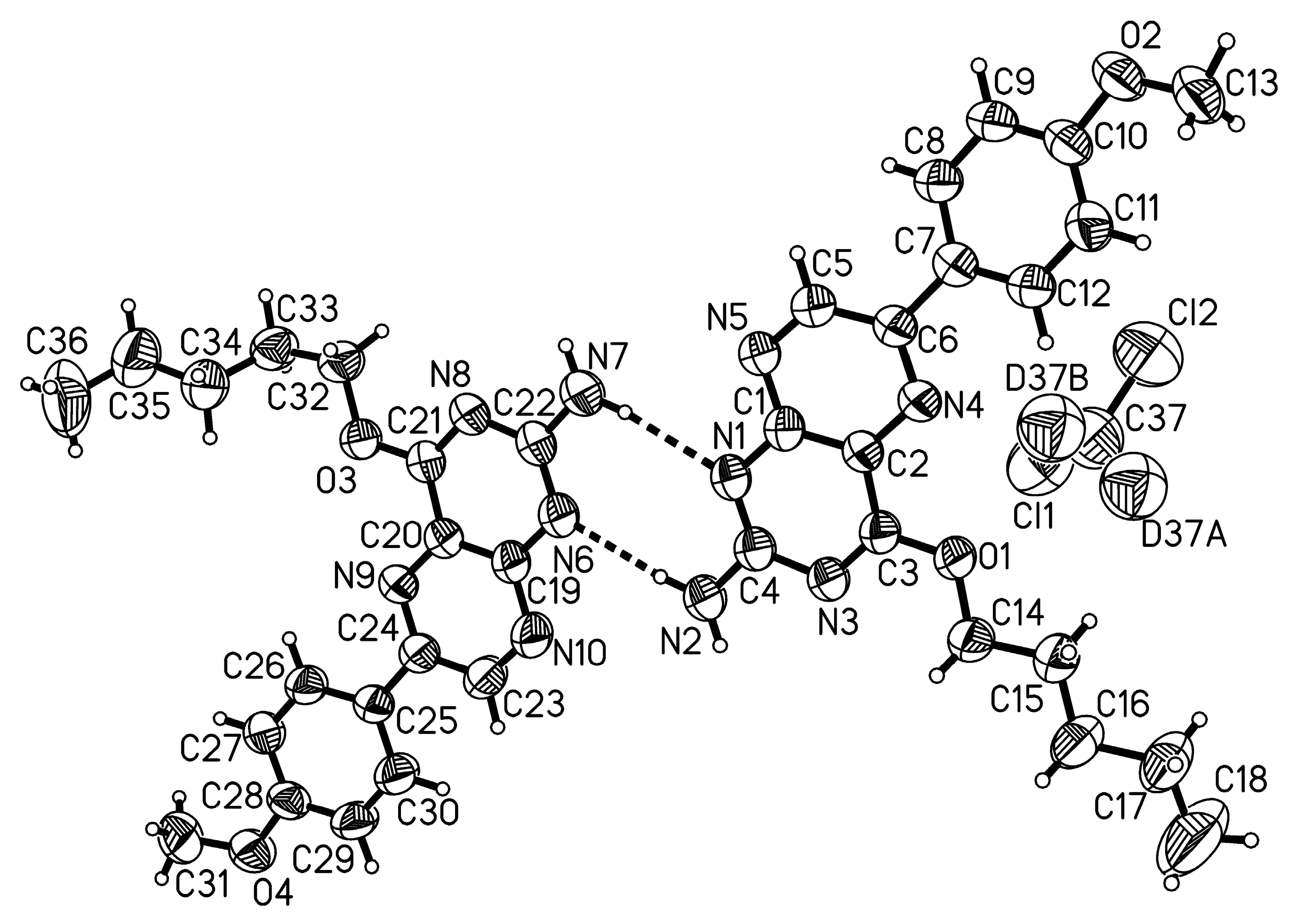 Molecules 29 04587 g006