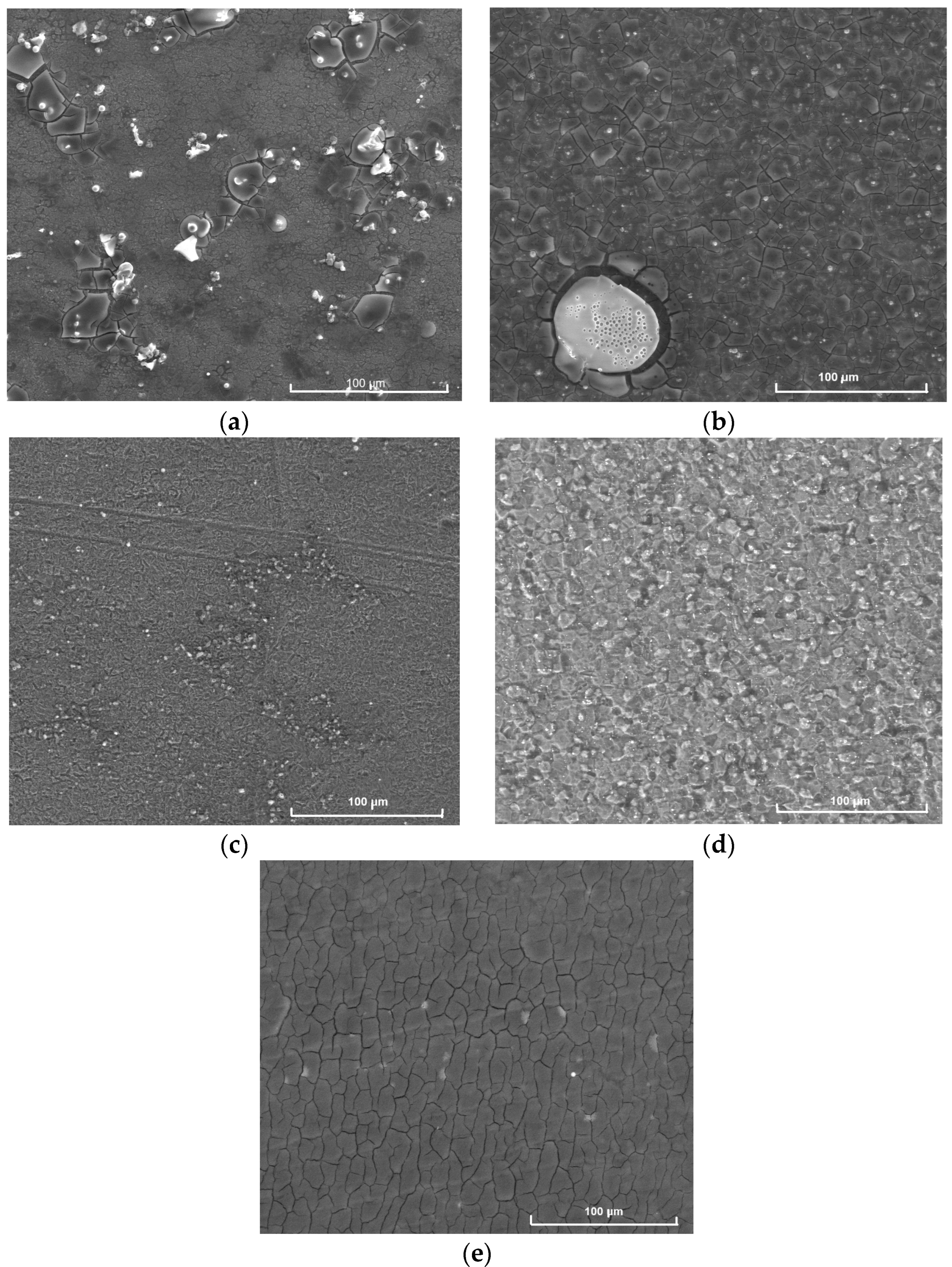 Molecules 29 04592 g012