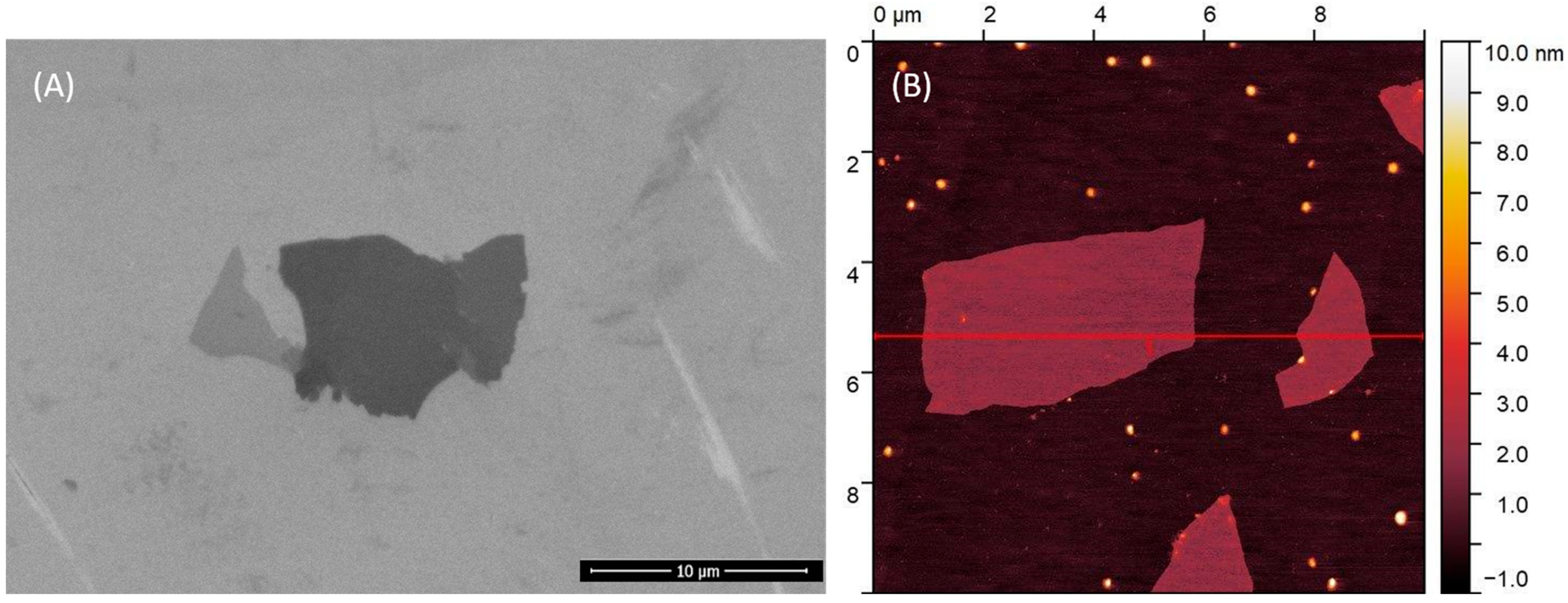 Molecules 29 04594 g007