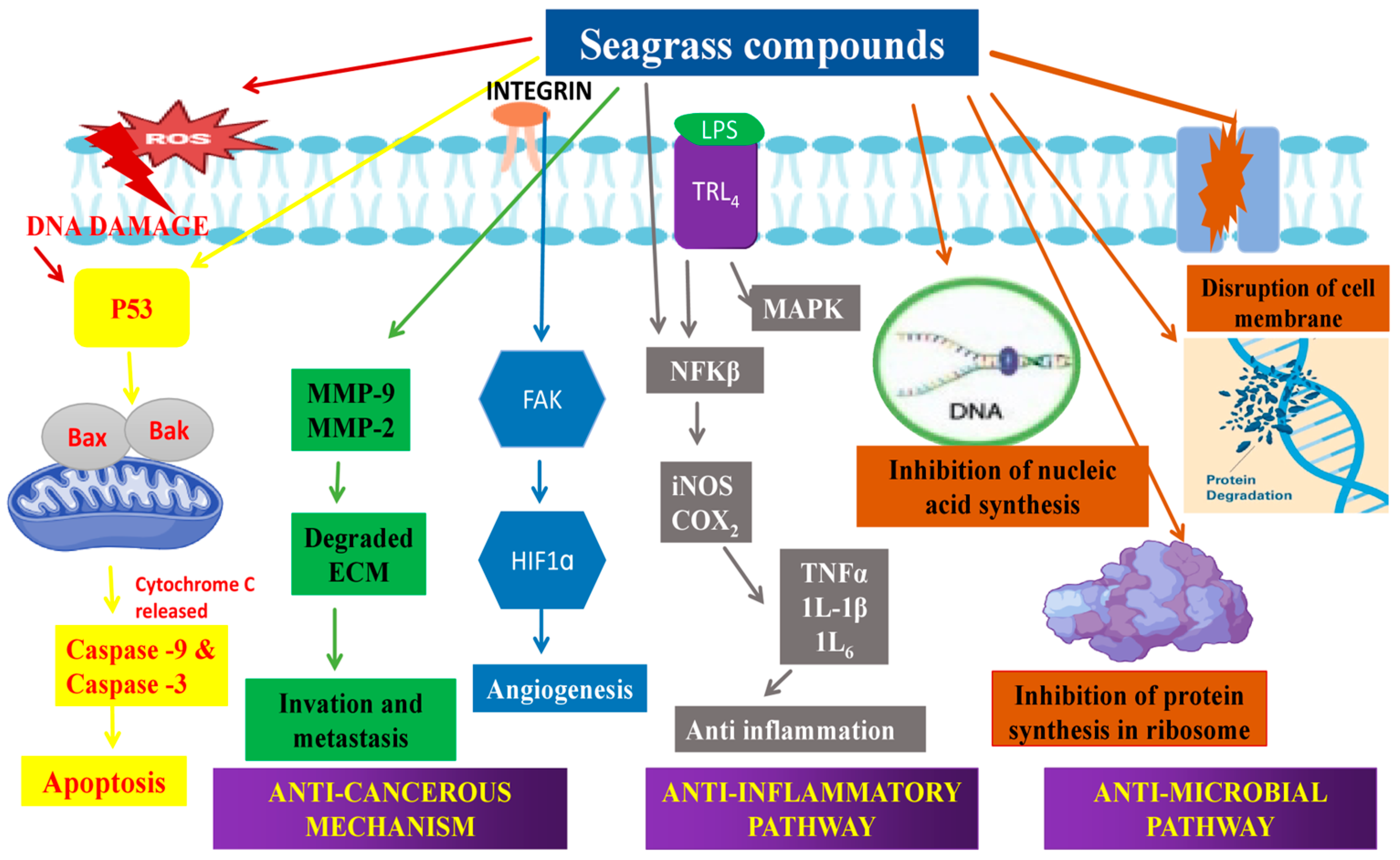 Molecules 29 04596 g011 Molecules 29 04596 g011