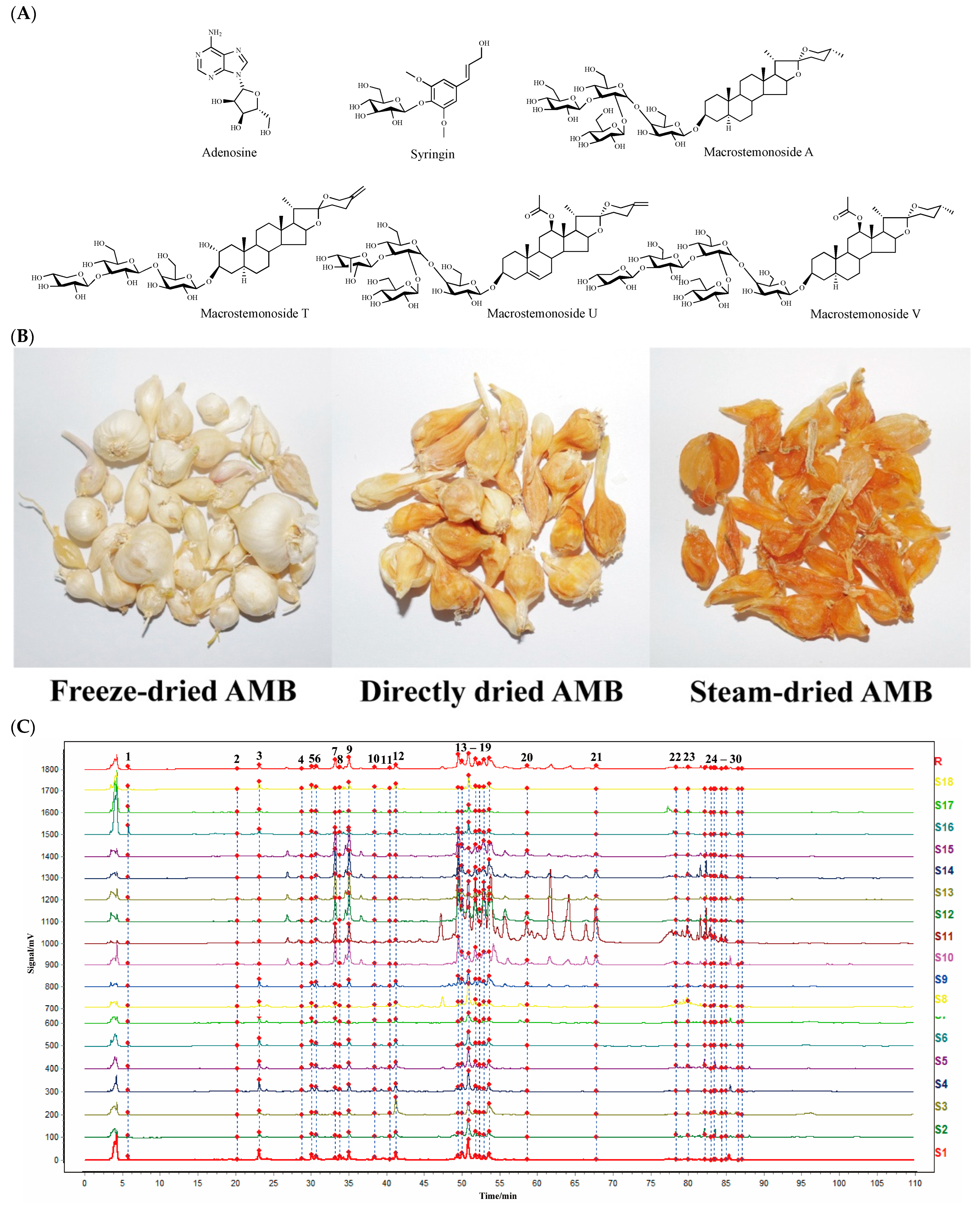 Molecules 29 04600 g001a