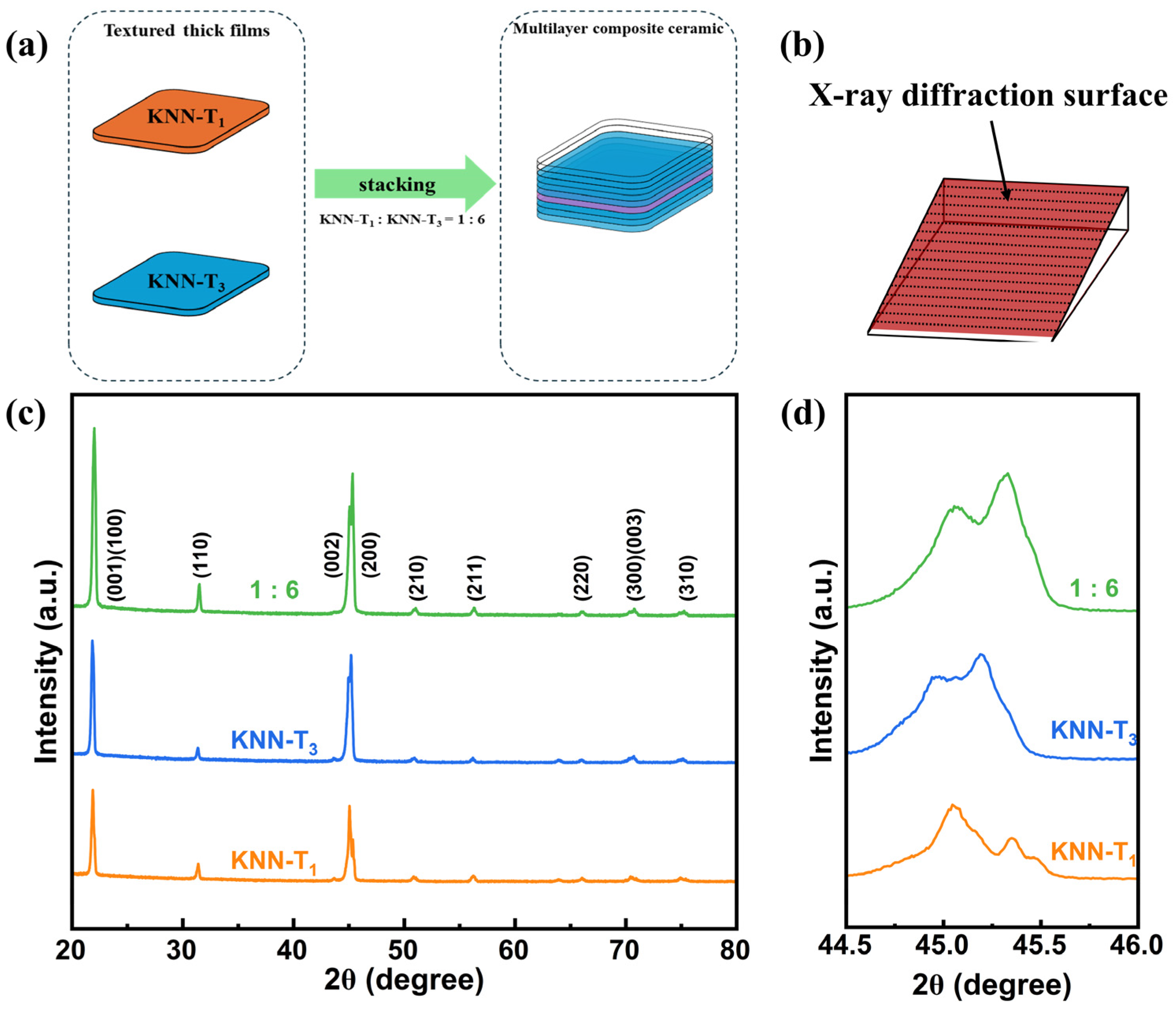 Molecules 29 04601 g001