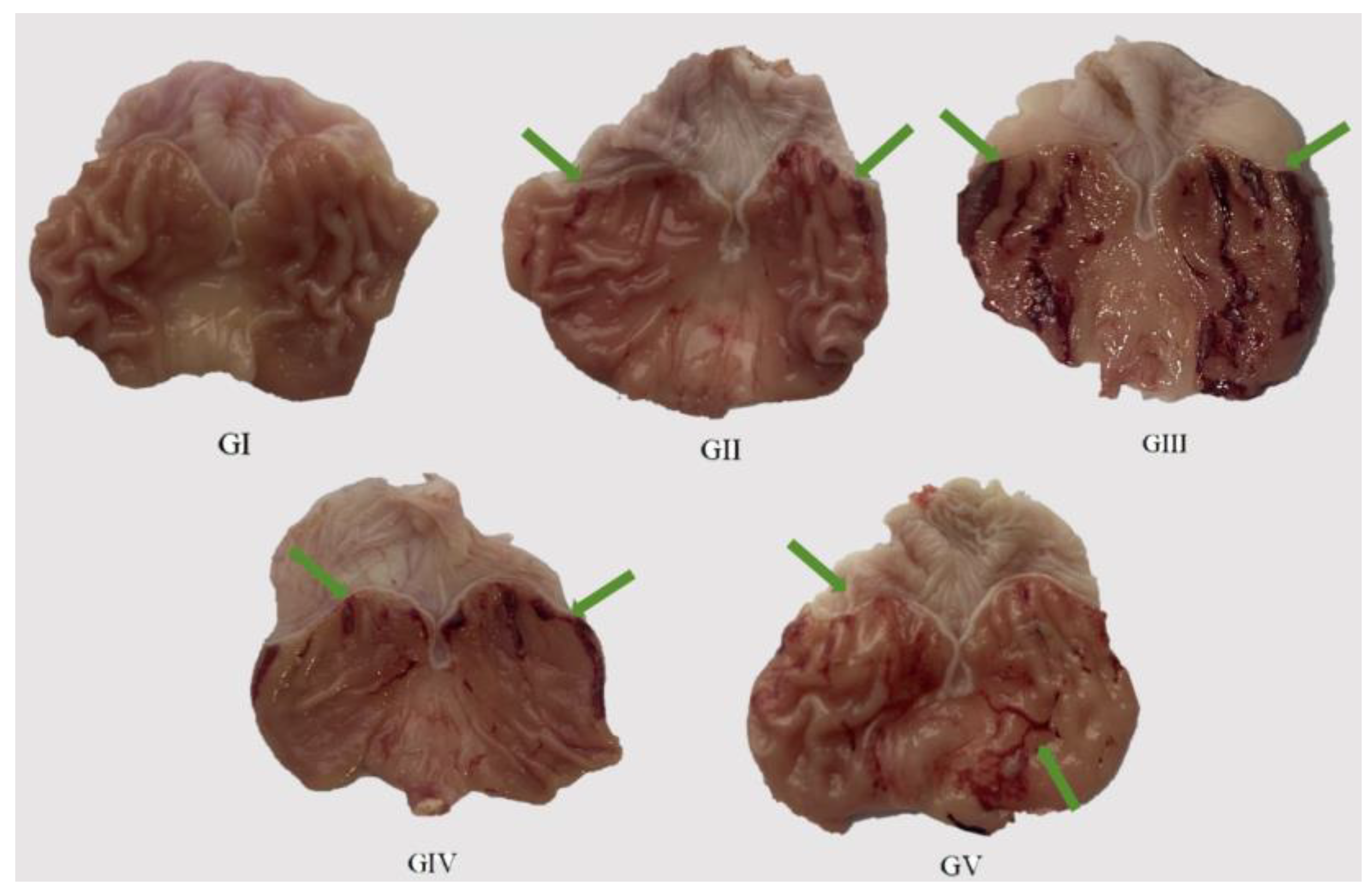 Molecules 29 04602 g008