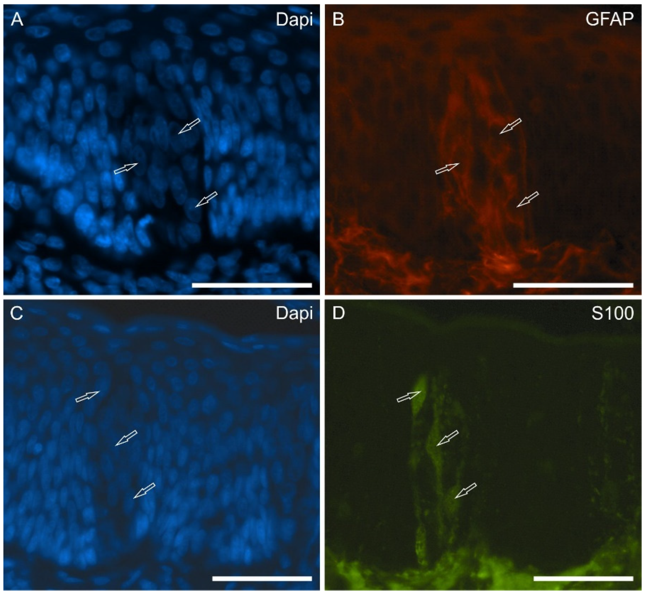 Molecules 29 04613 g002