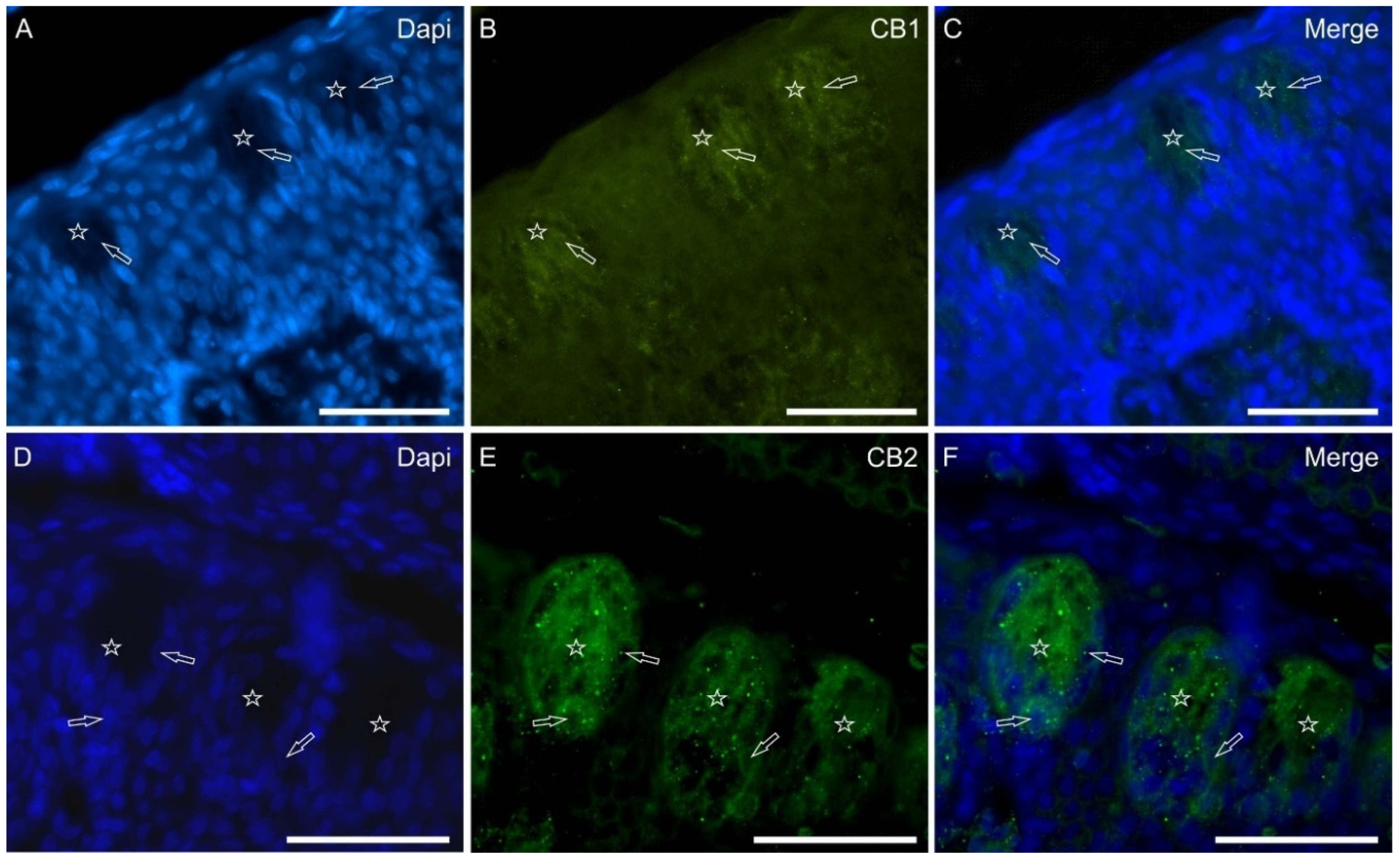 Molecules 29 04613 g003