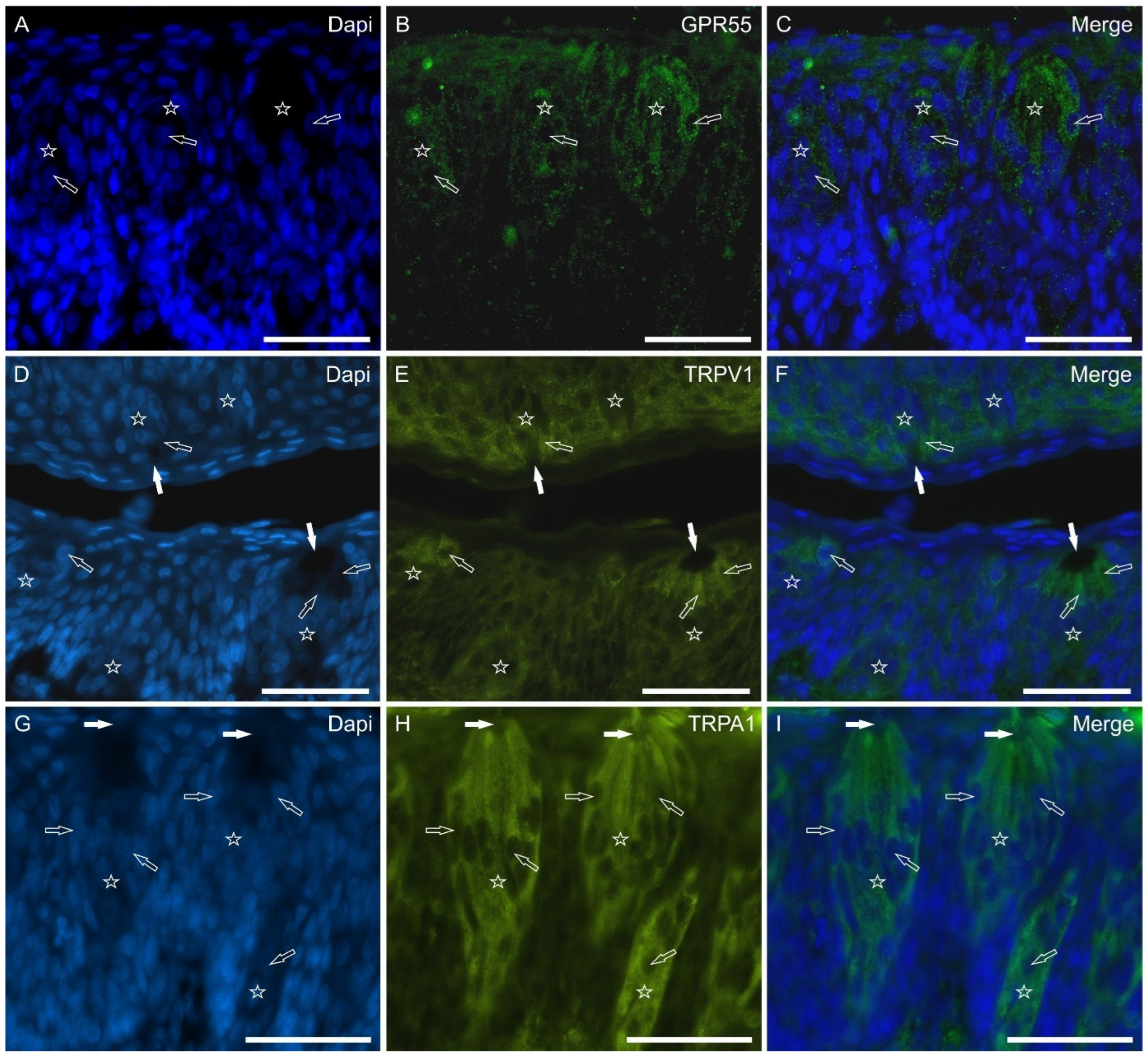 Molecules 29 04613 g004