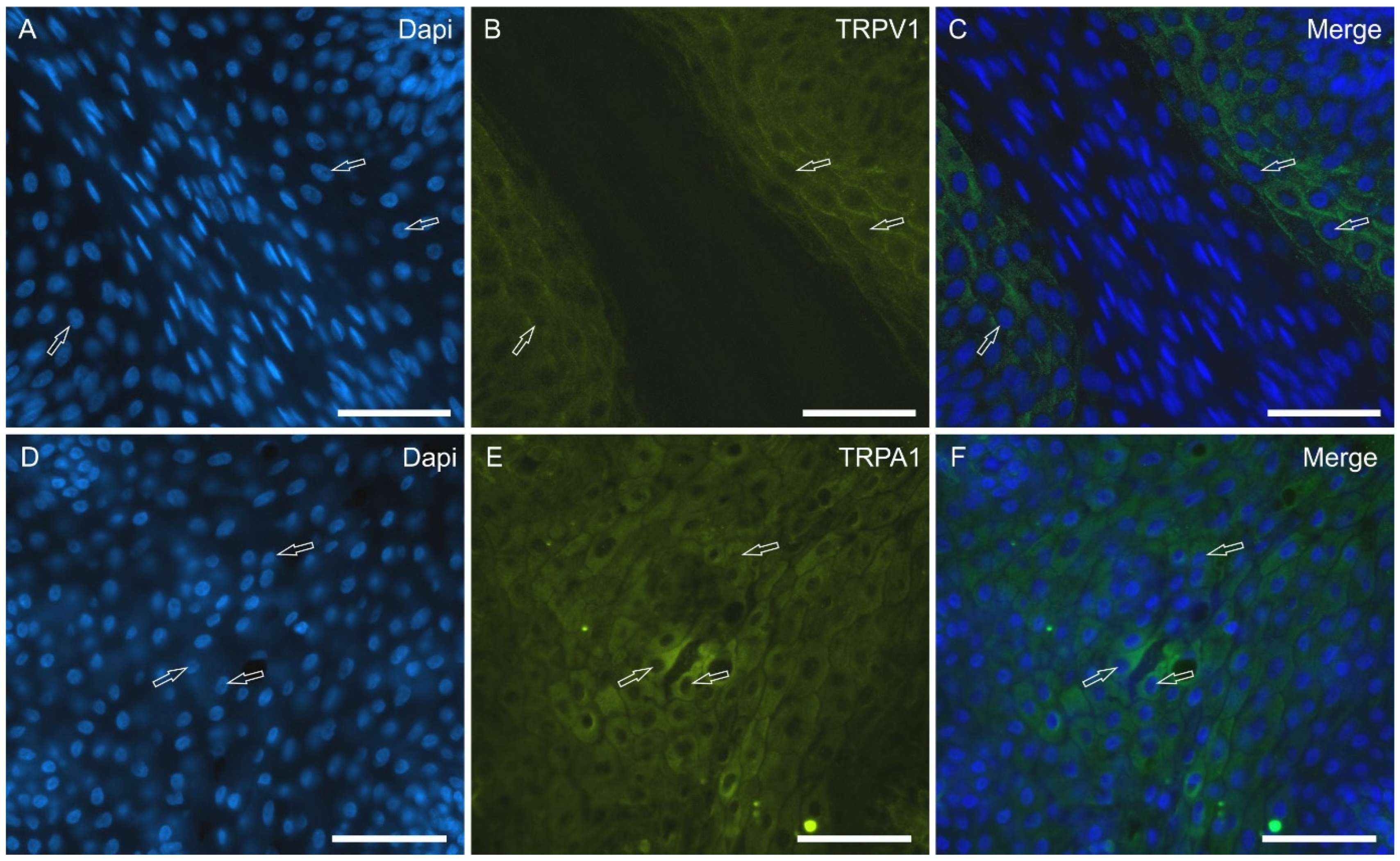 Molecules 29 04613 g006