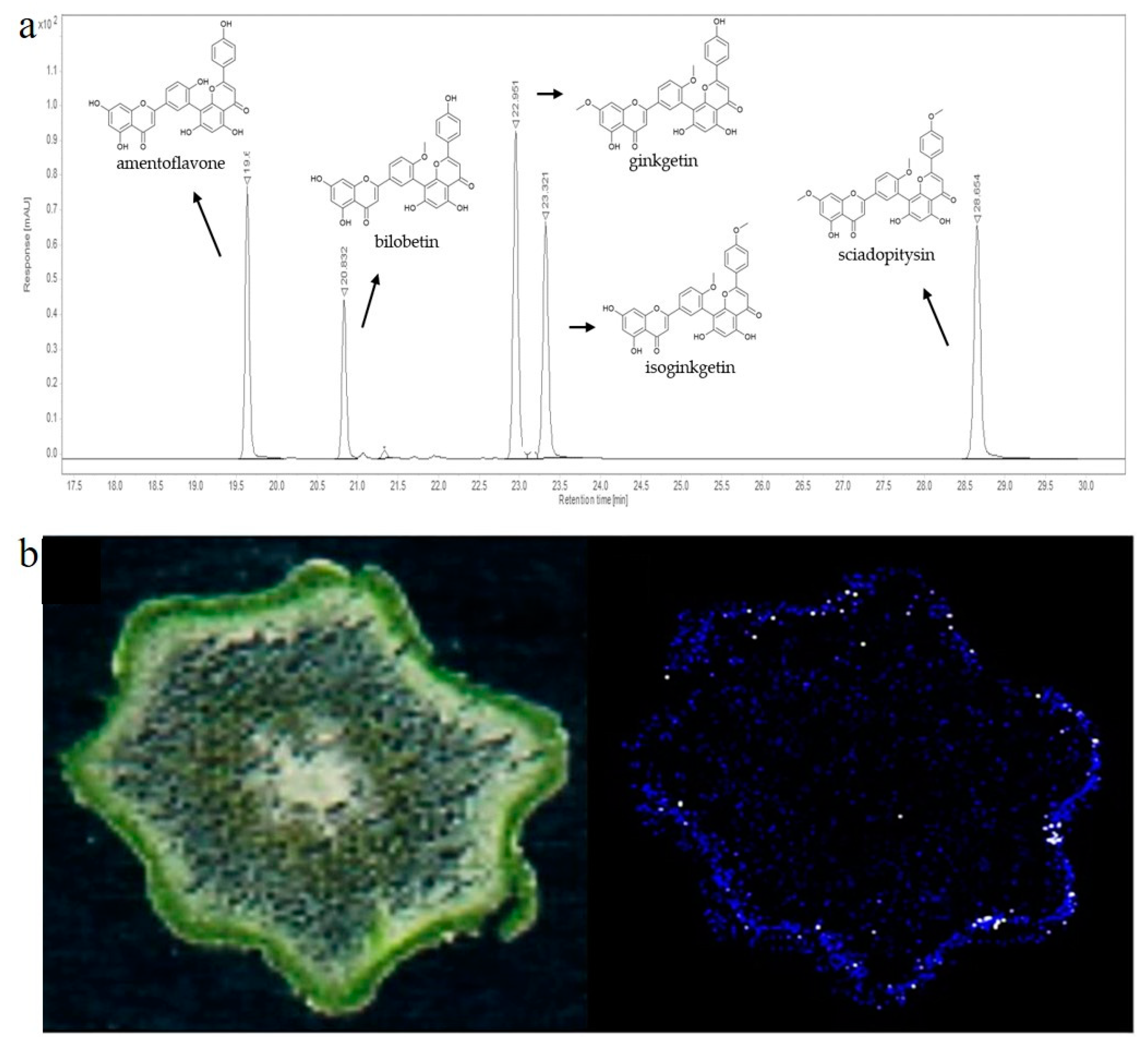 Molecules 29 04634 g006