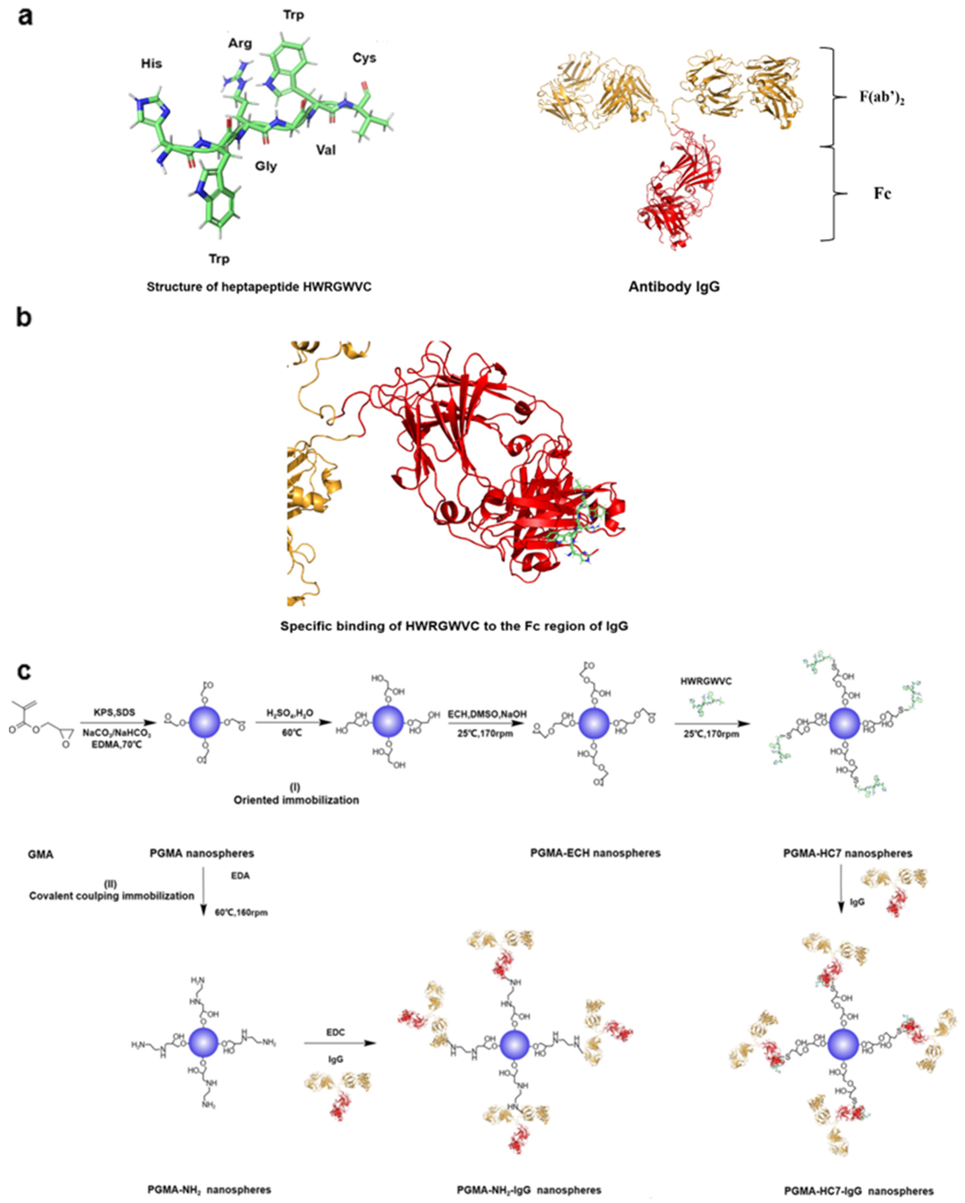 Molecules 29 04635 g001