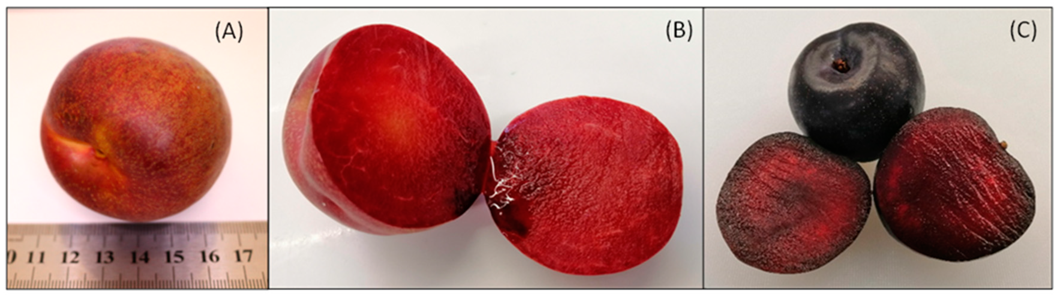 Molecules 29 04641 g001