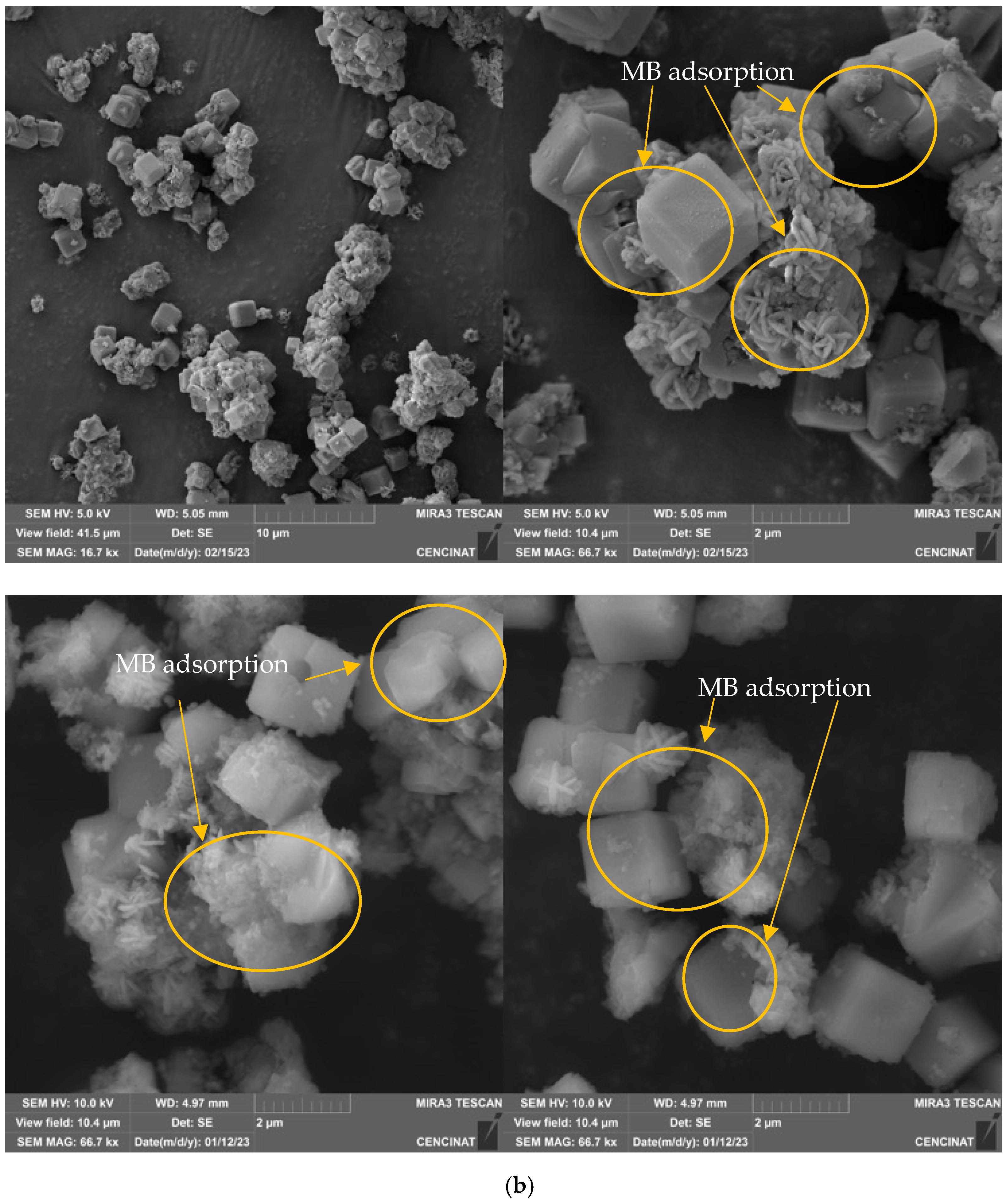 Molecules 29 04643 g007b