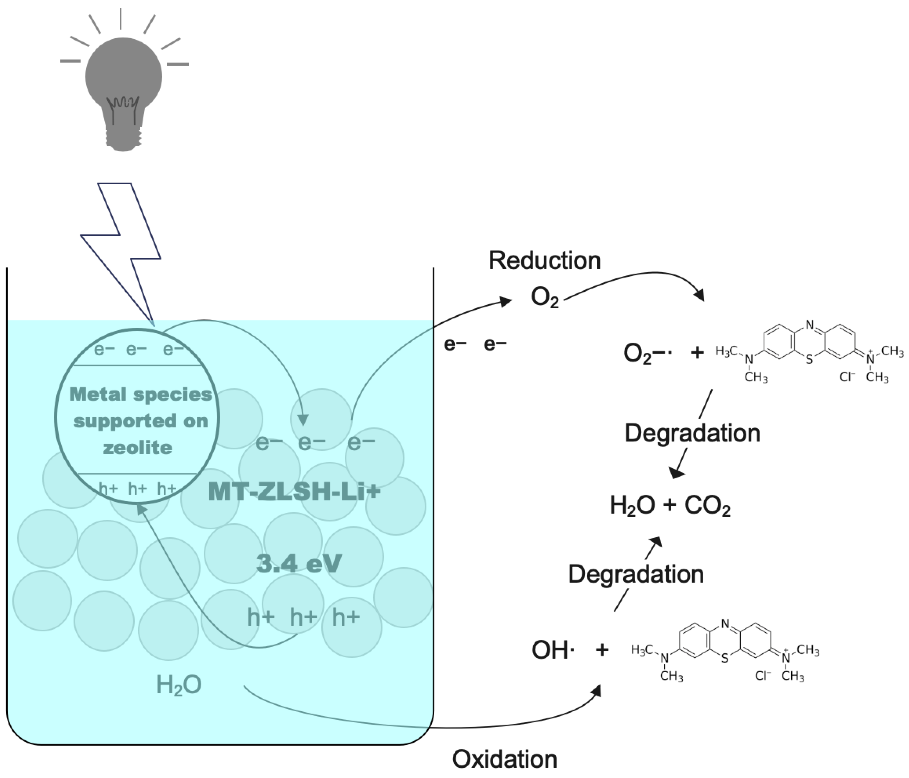 Molecules 29 04643 g009
