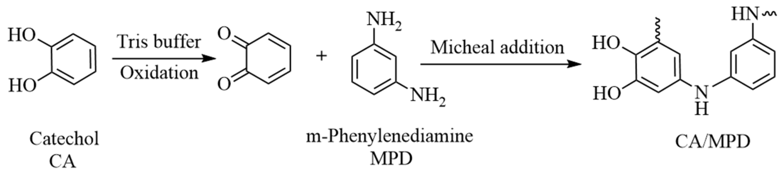 Molecules 29 04644 g001