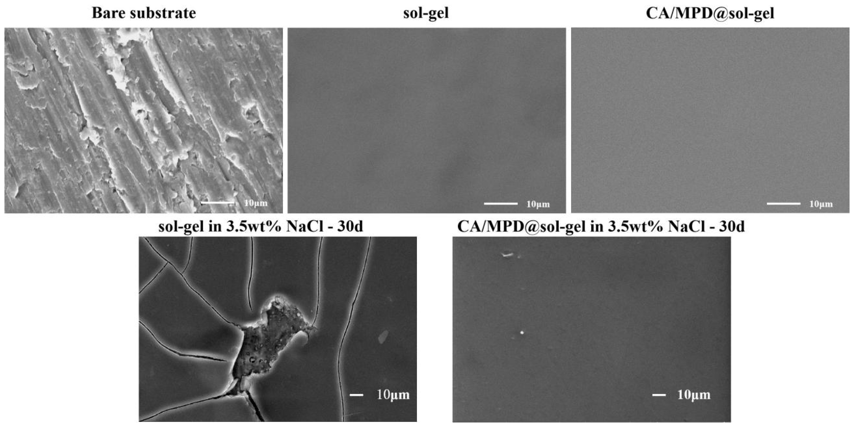 Molecules 29 04644 g007