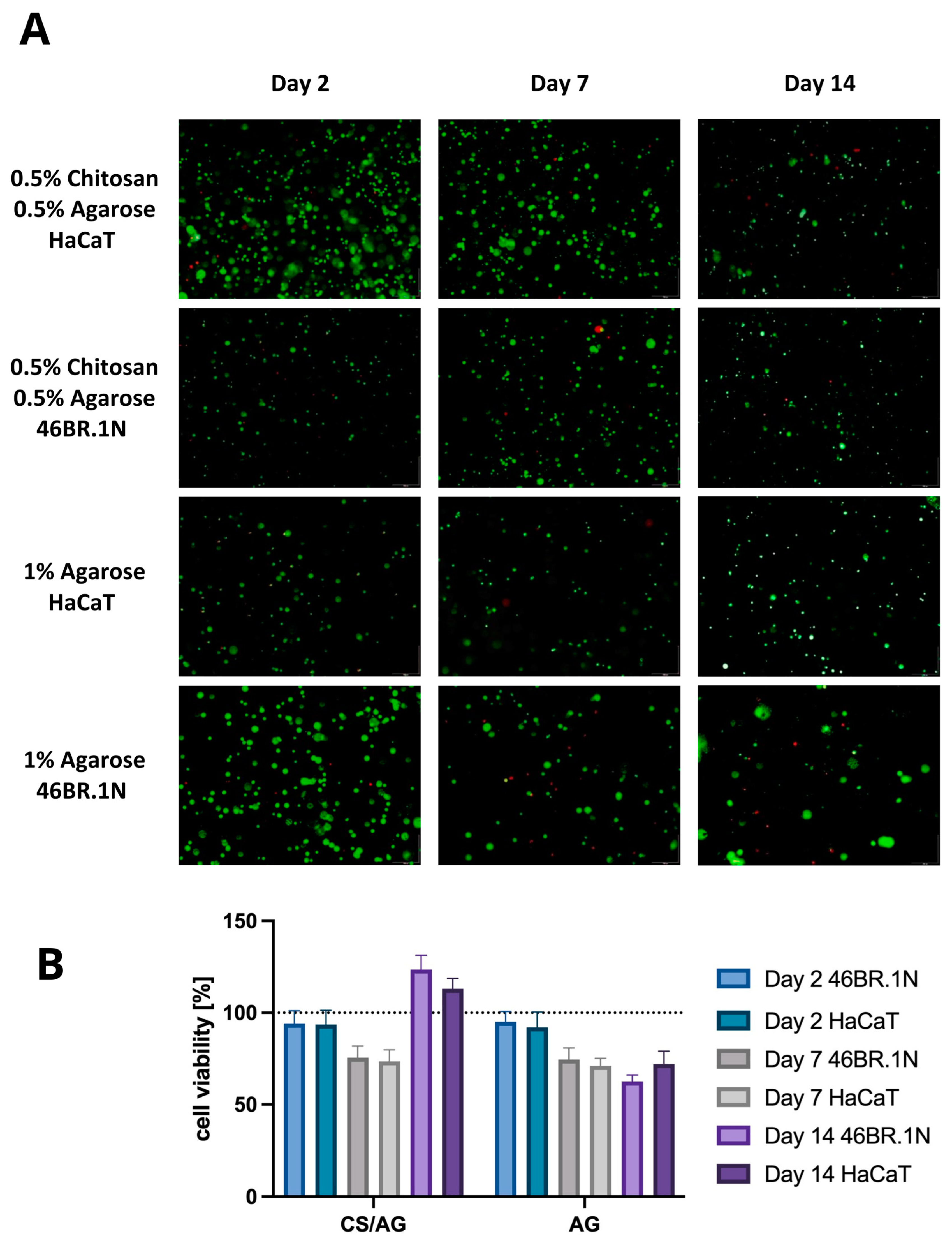 Molecules 29 04648 g006