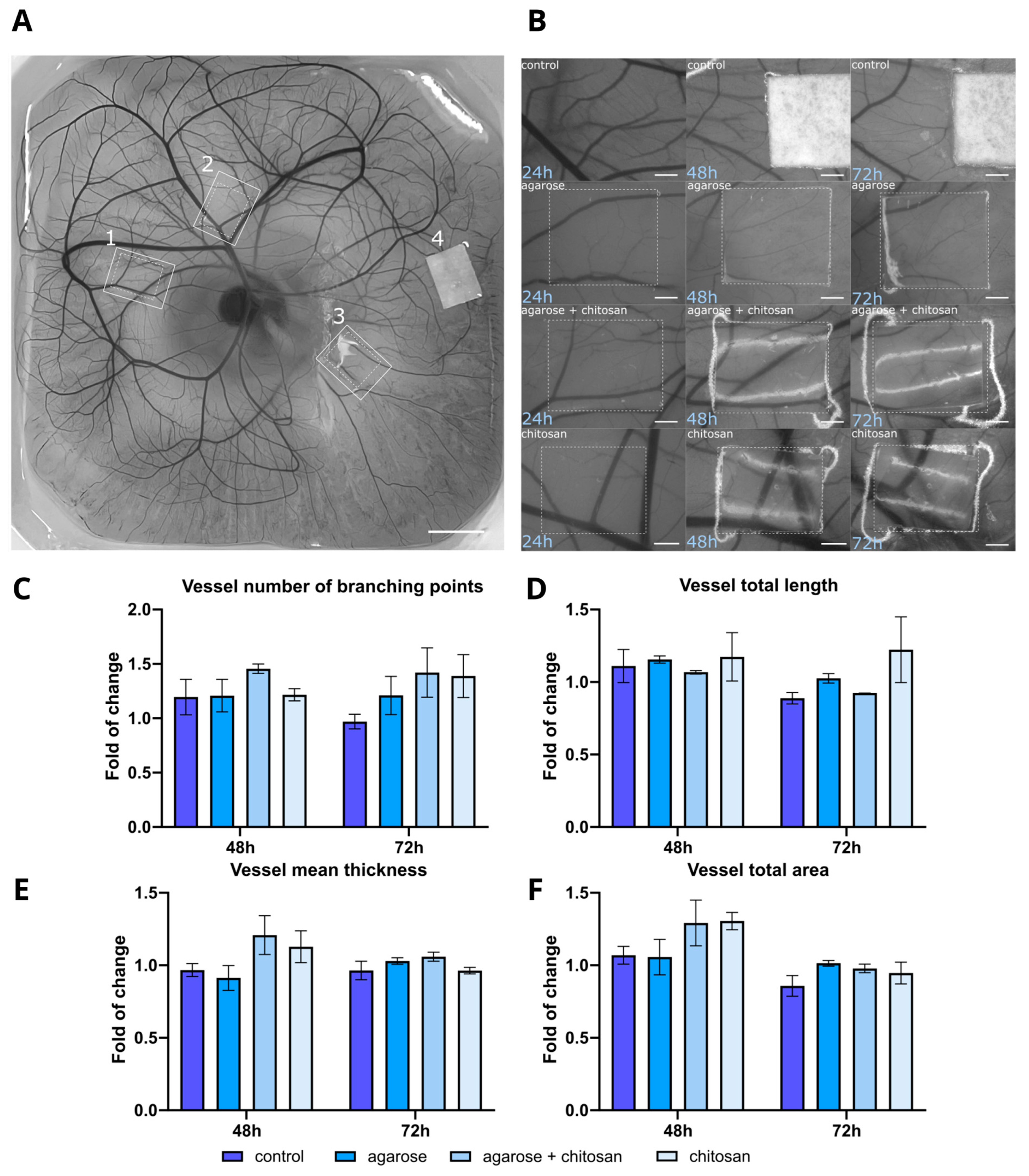 Molecules 29 04648 g007