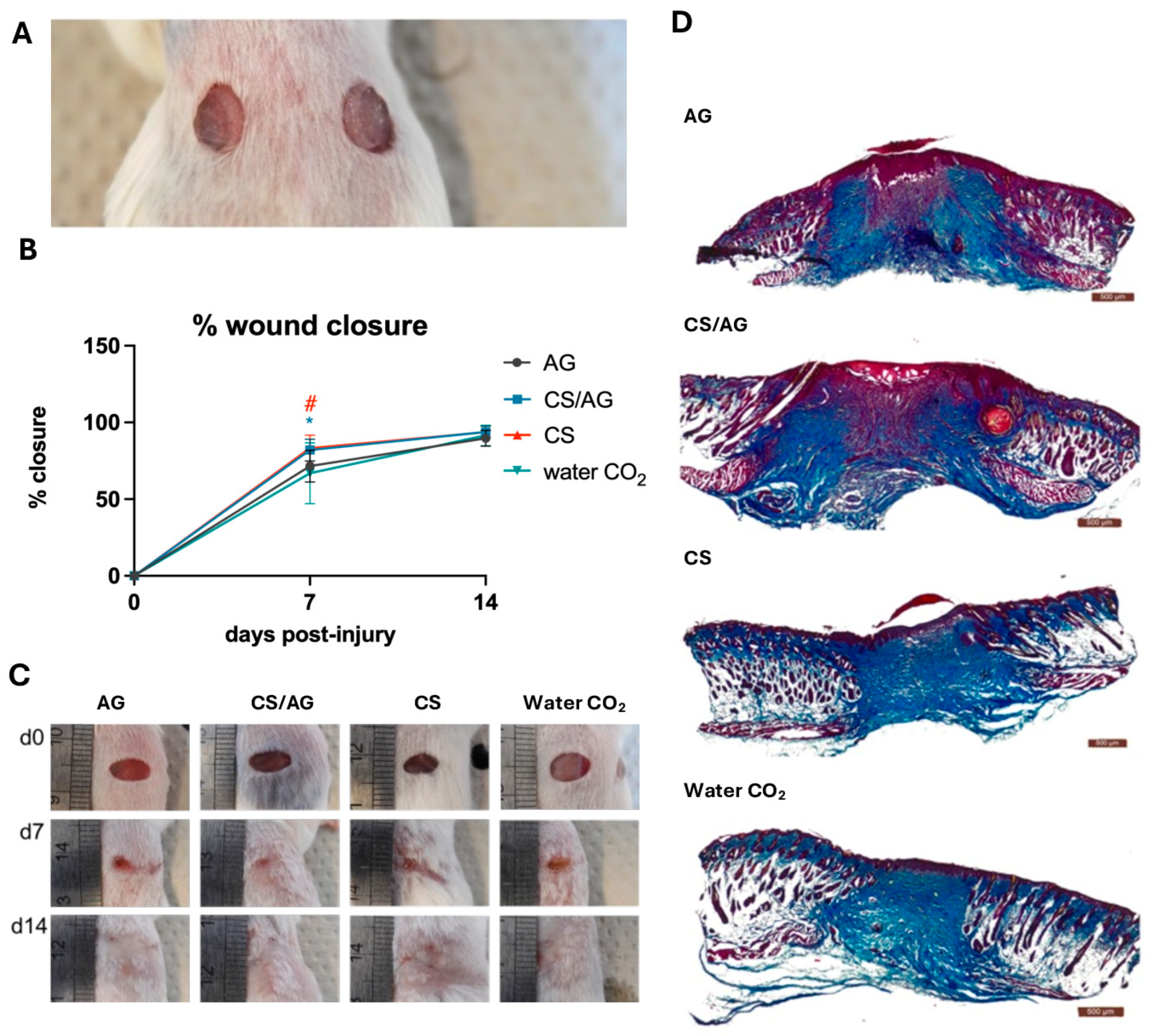 Molecules 29 04648 g008