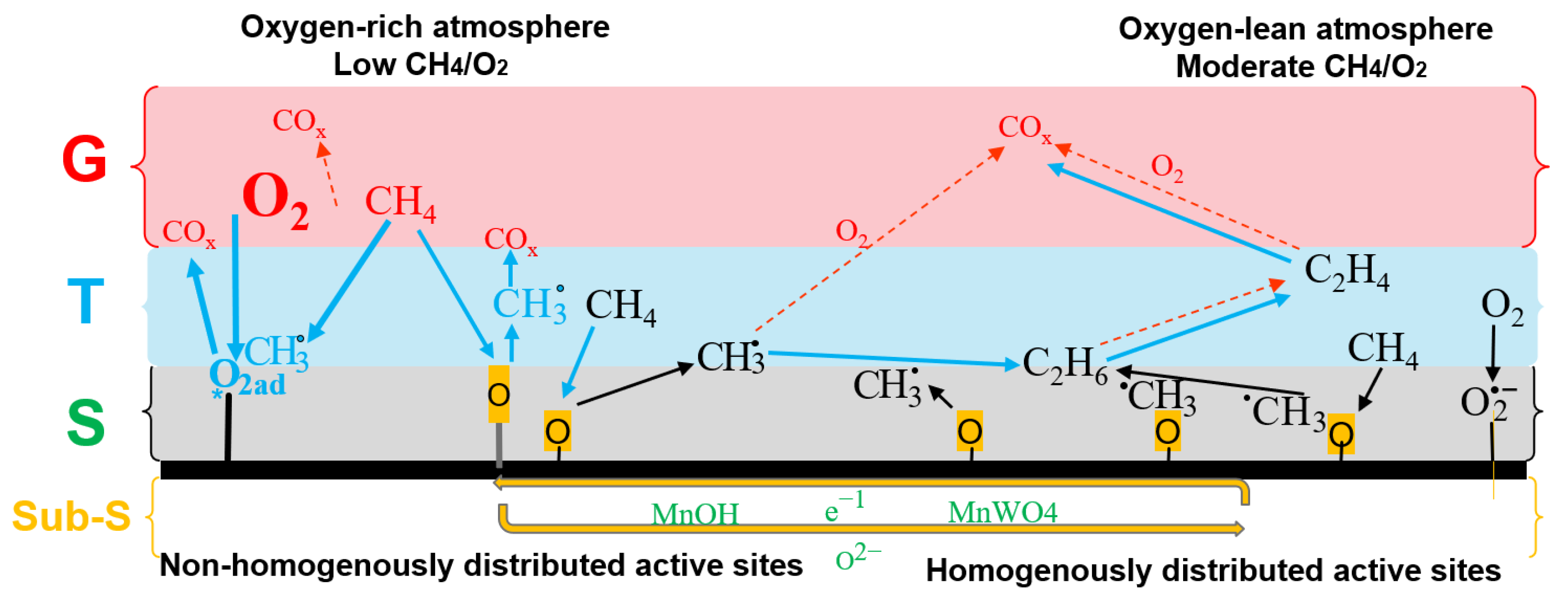 Molecules 29 04649 g002