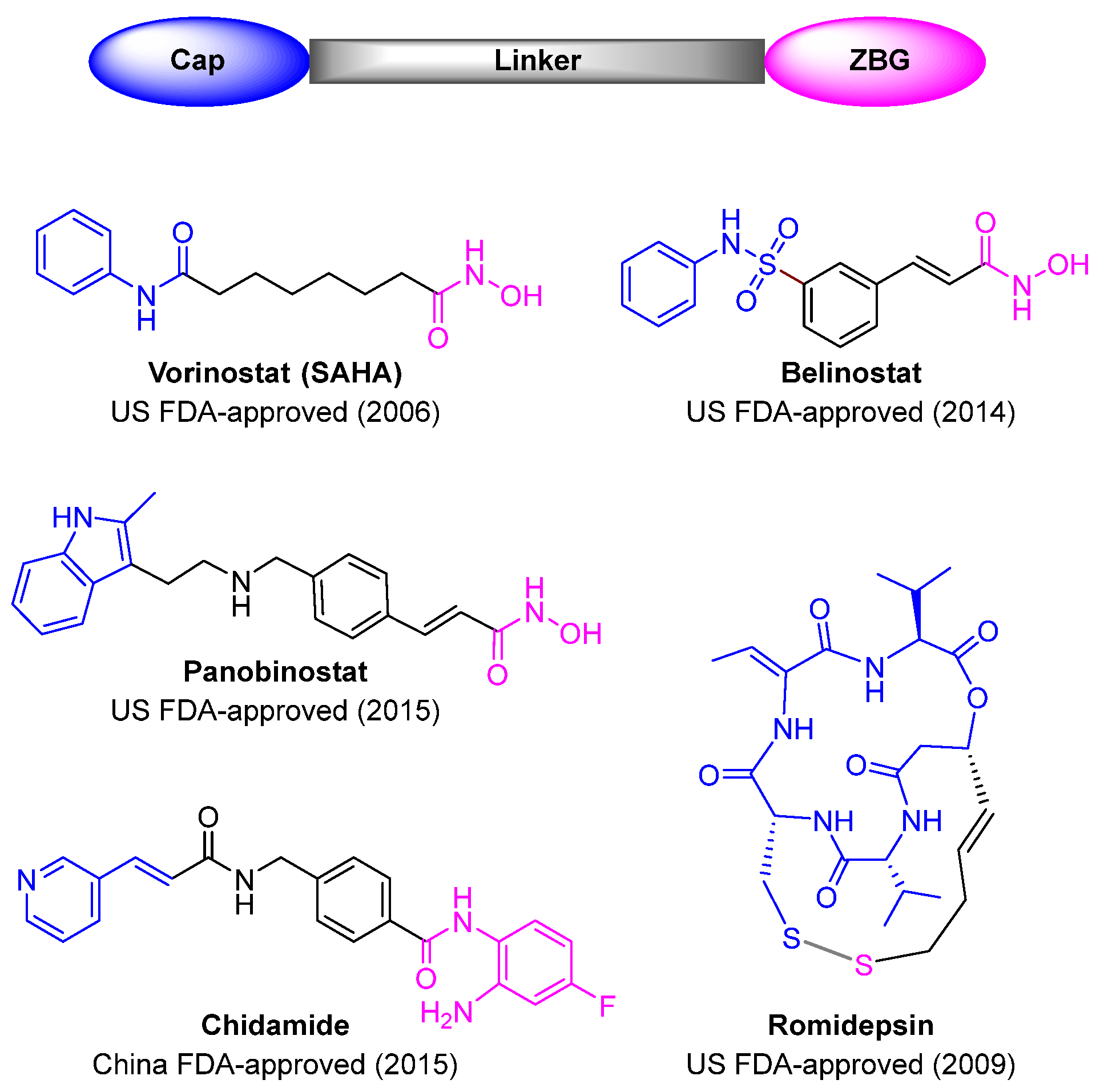 Molecules 29 04653 g001