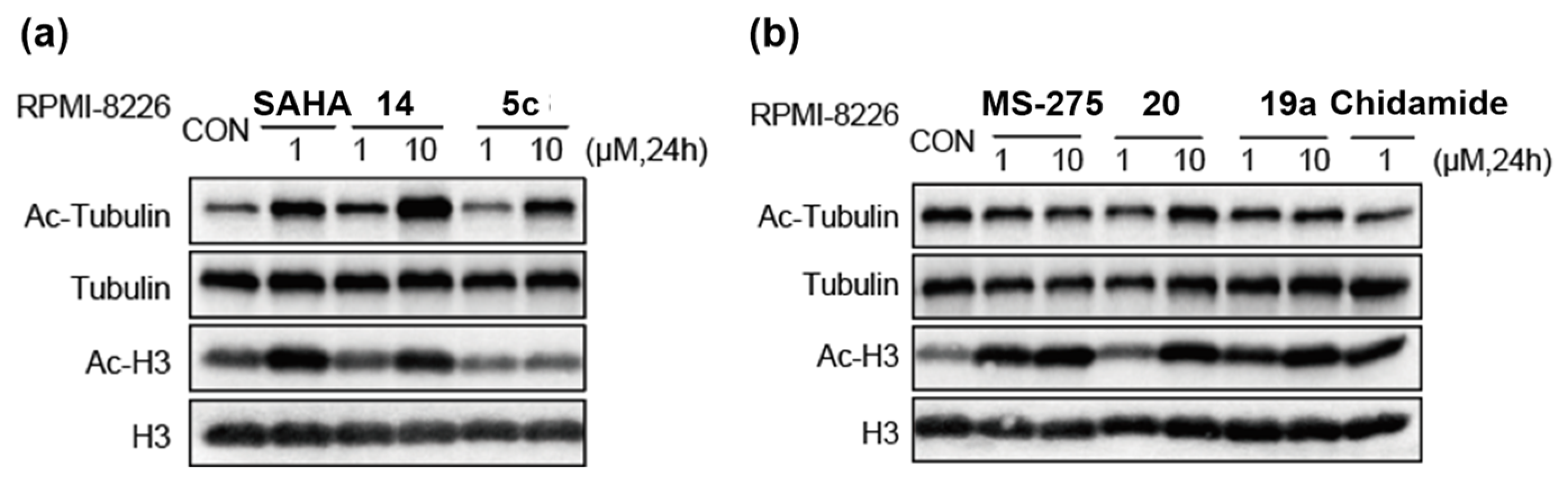 Molecules 29 04653 g003