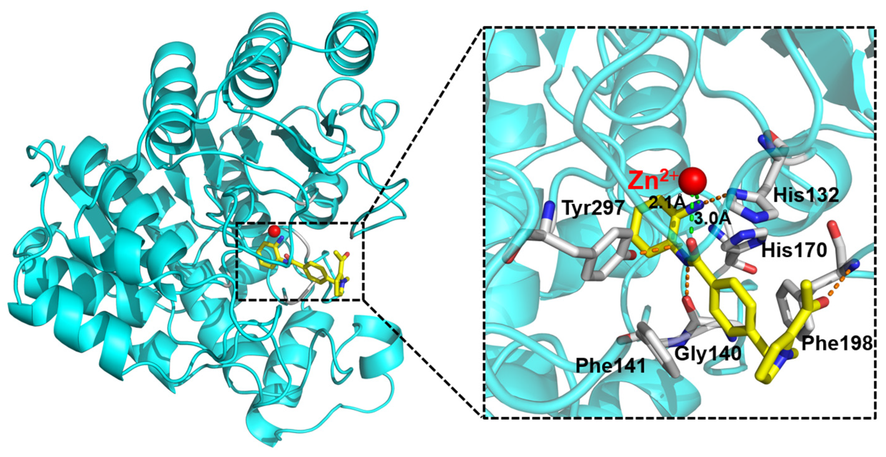 Molecules 29 04653 g006