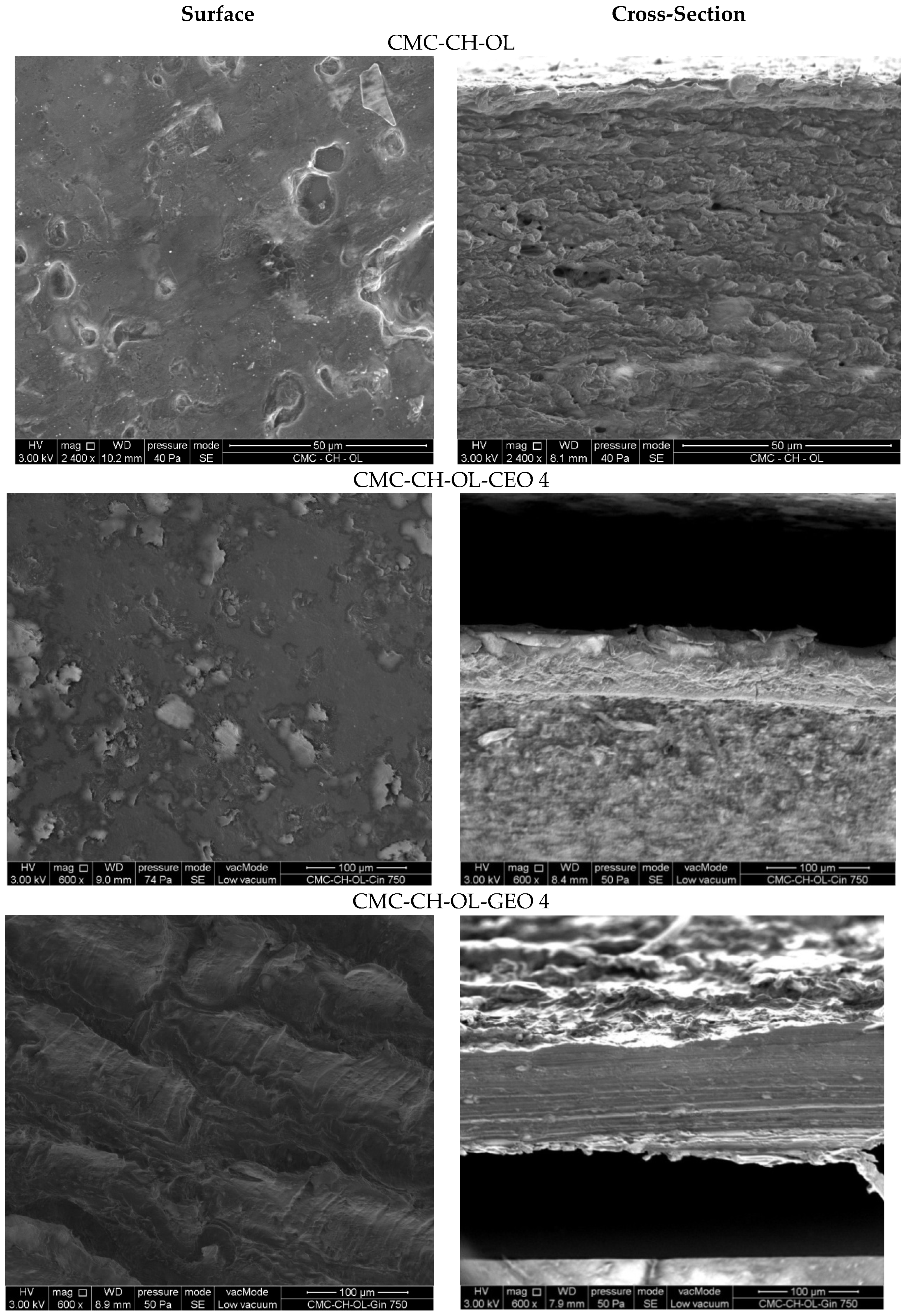 Molecules 29 04664 g003