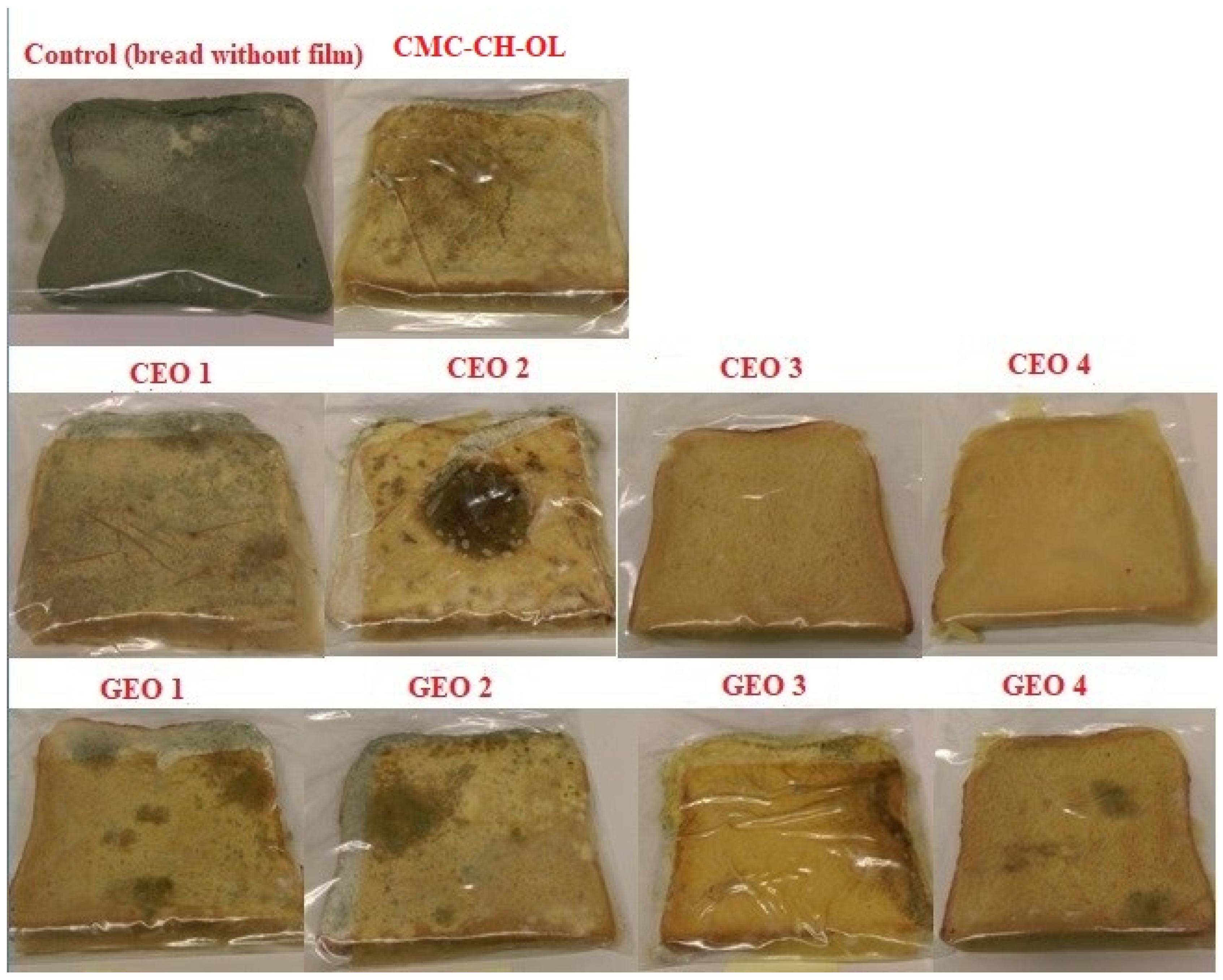 Molecules 29 04664 g004