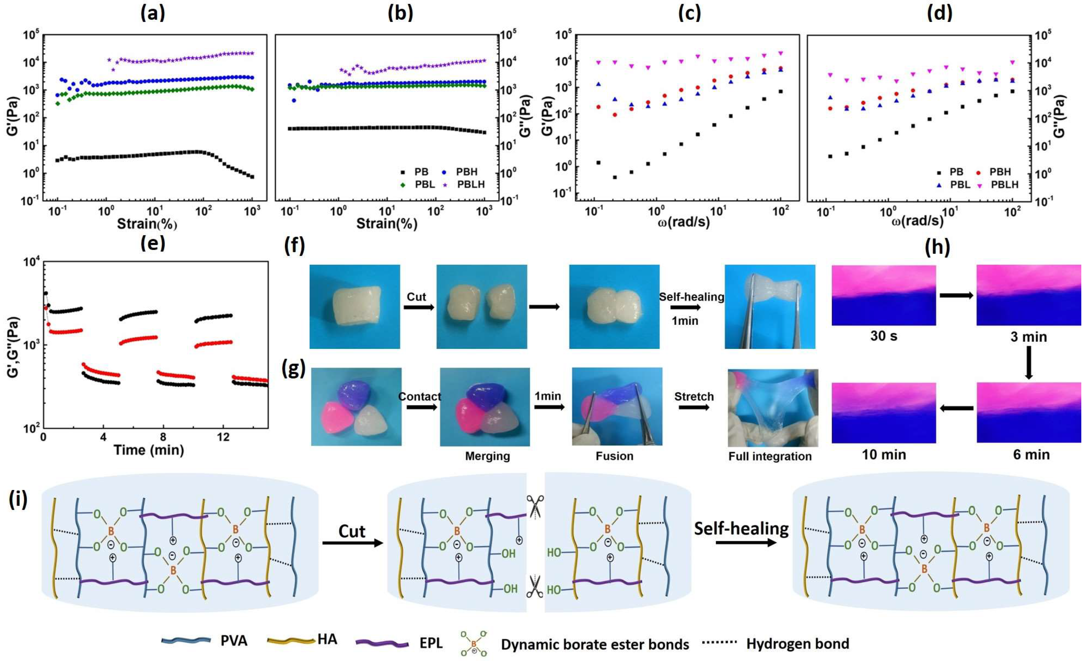 Molecules 29 04666 g003