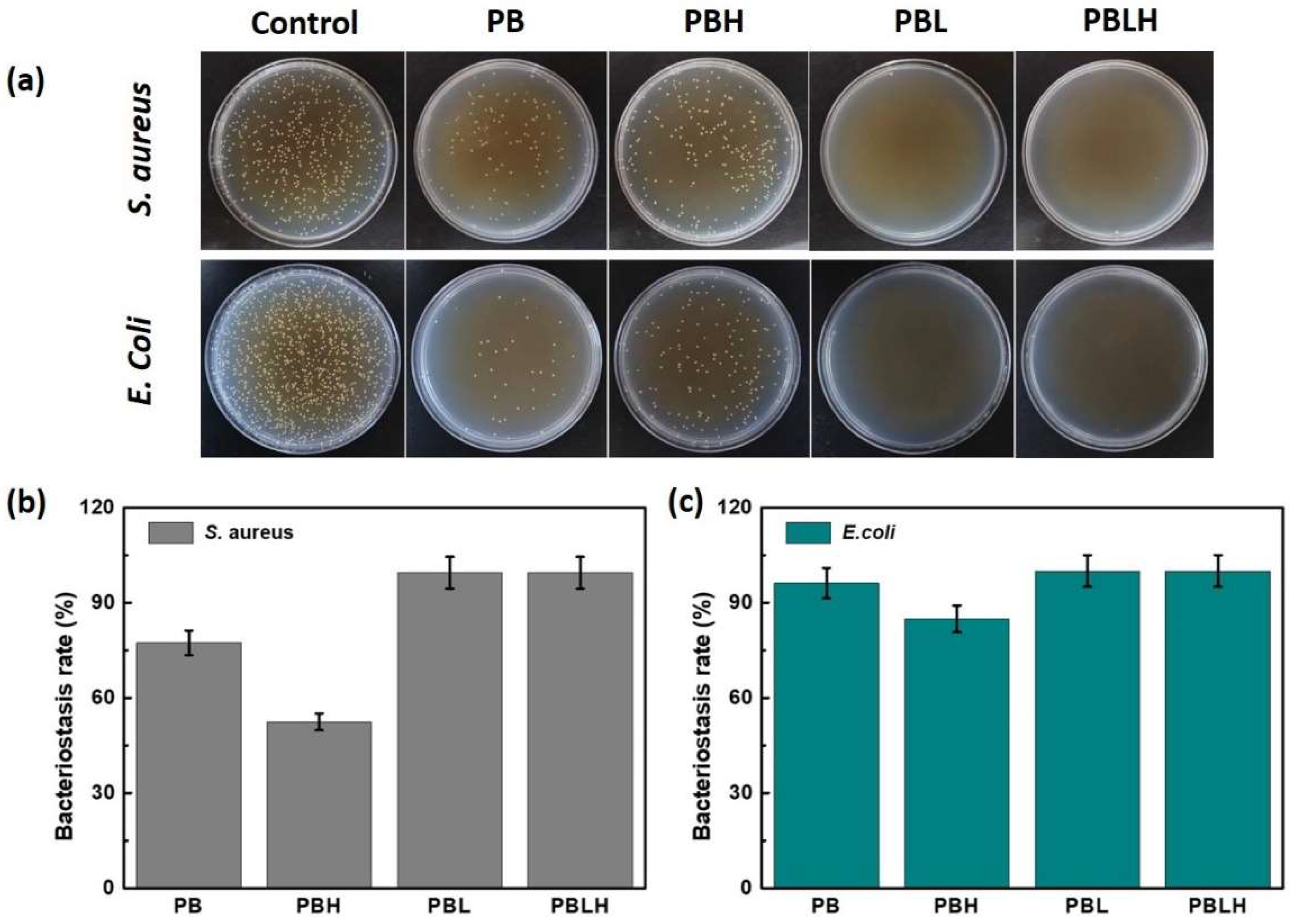 Molecules 29 04666 g005