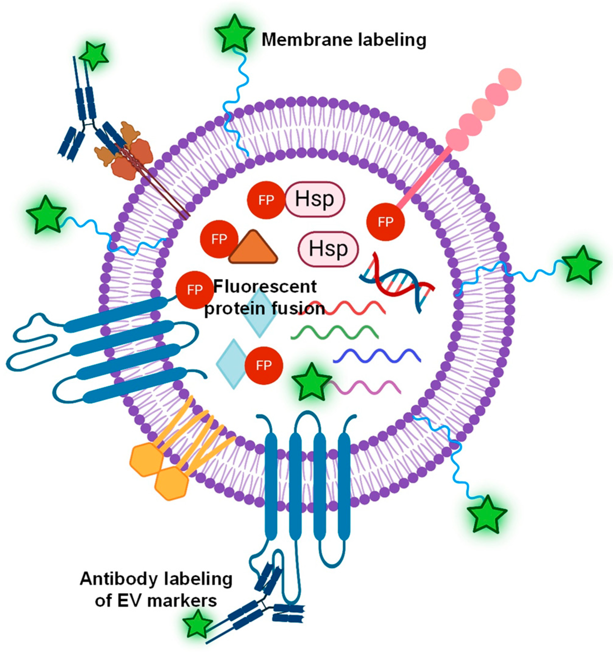 Molecules 29 04672 g002
