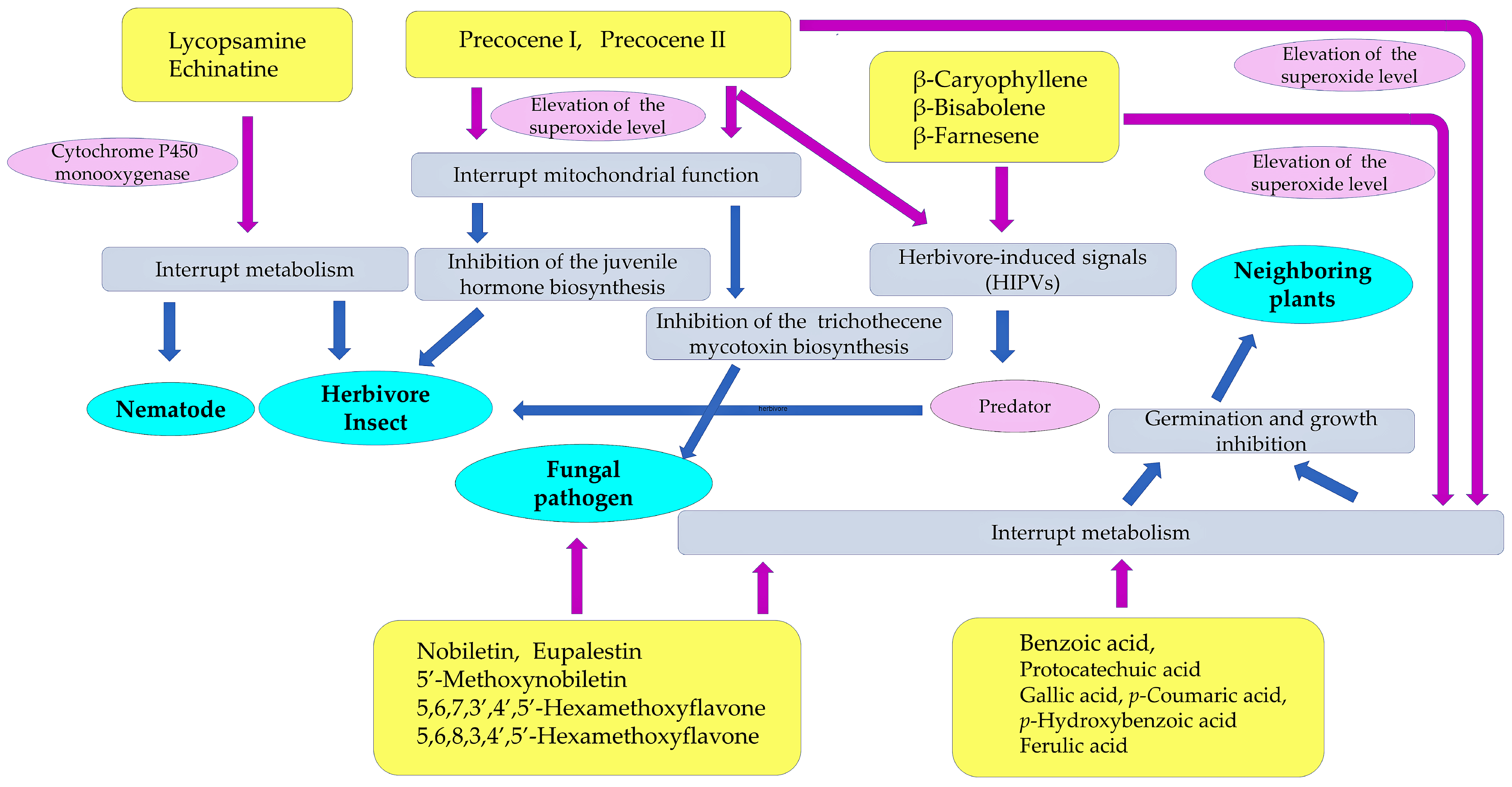Molecules 29 04673 g006