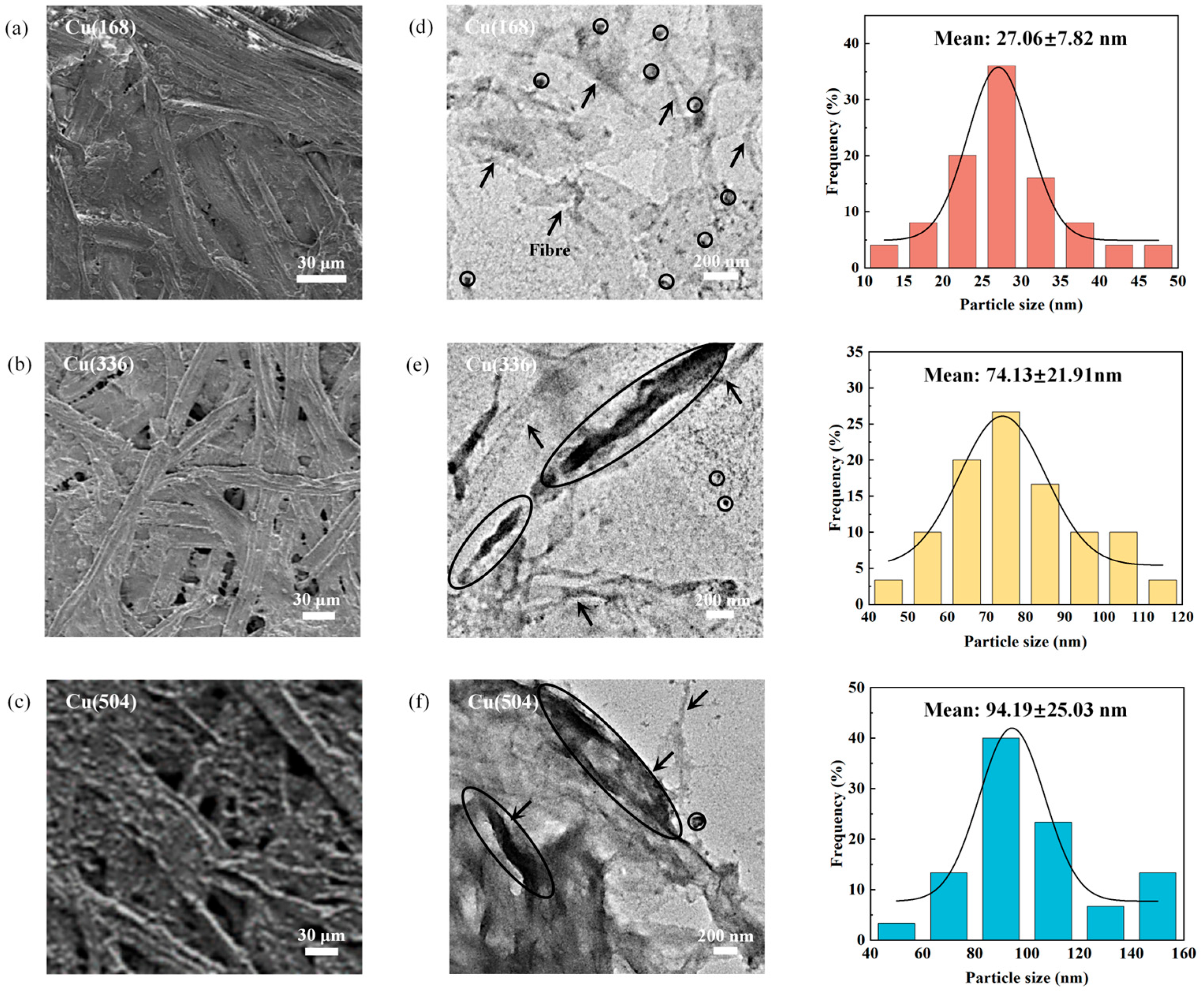 Molecules 29 04690 g001 Molecules 29 04690 g001