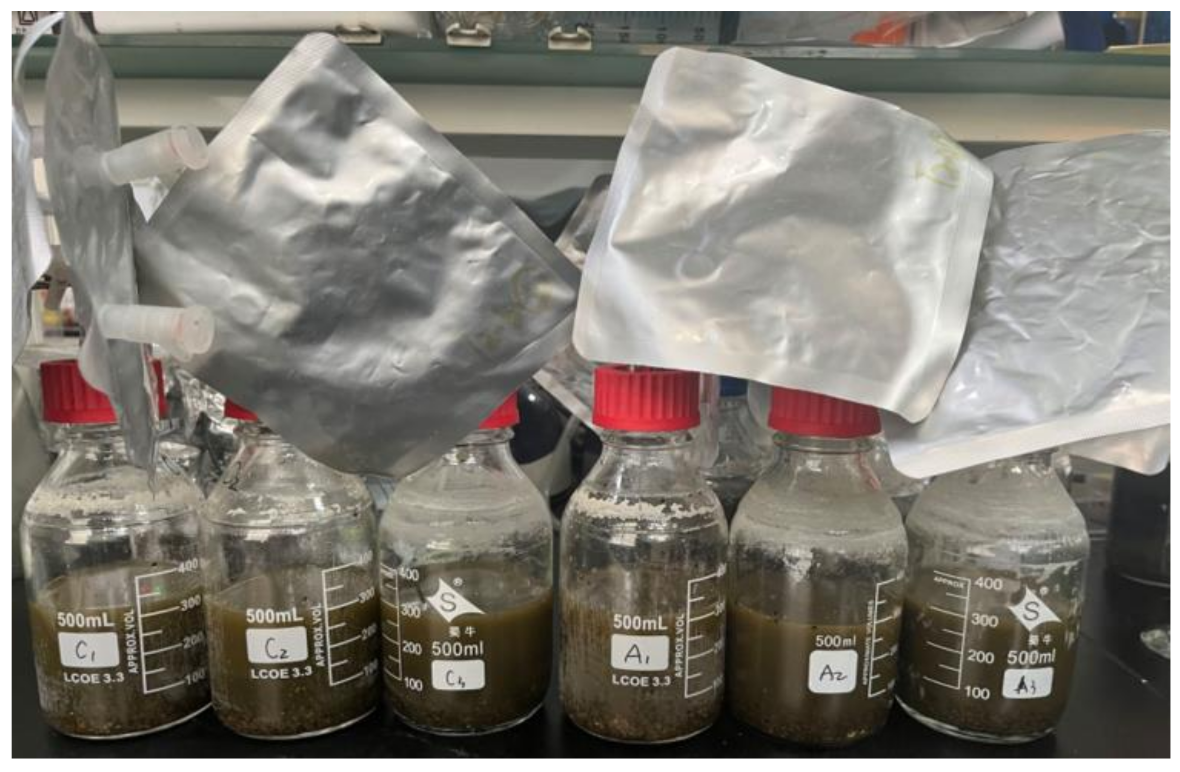 Molecules 29 04692 g005