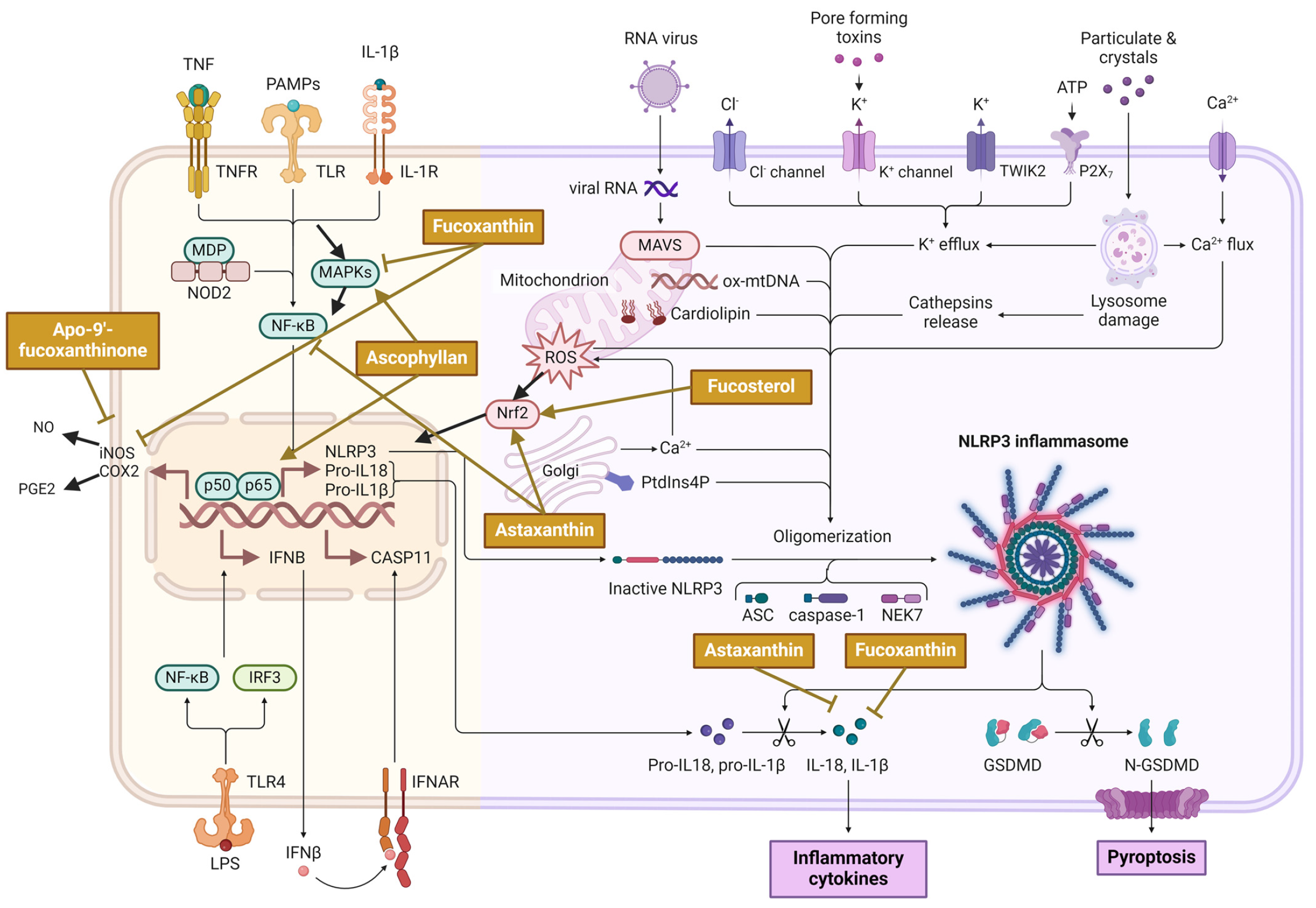 Molecules 29 04695 g001
