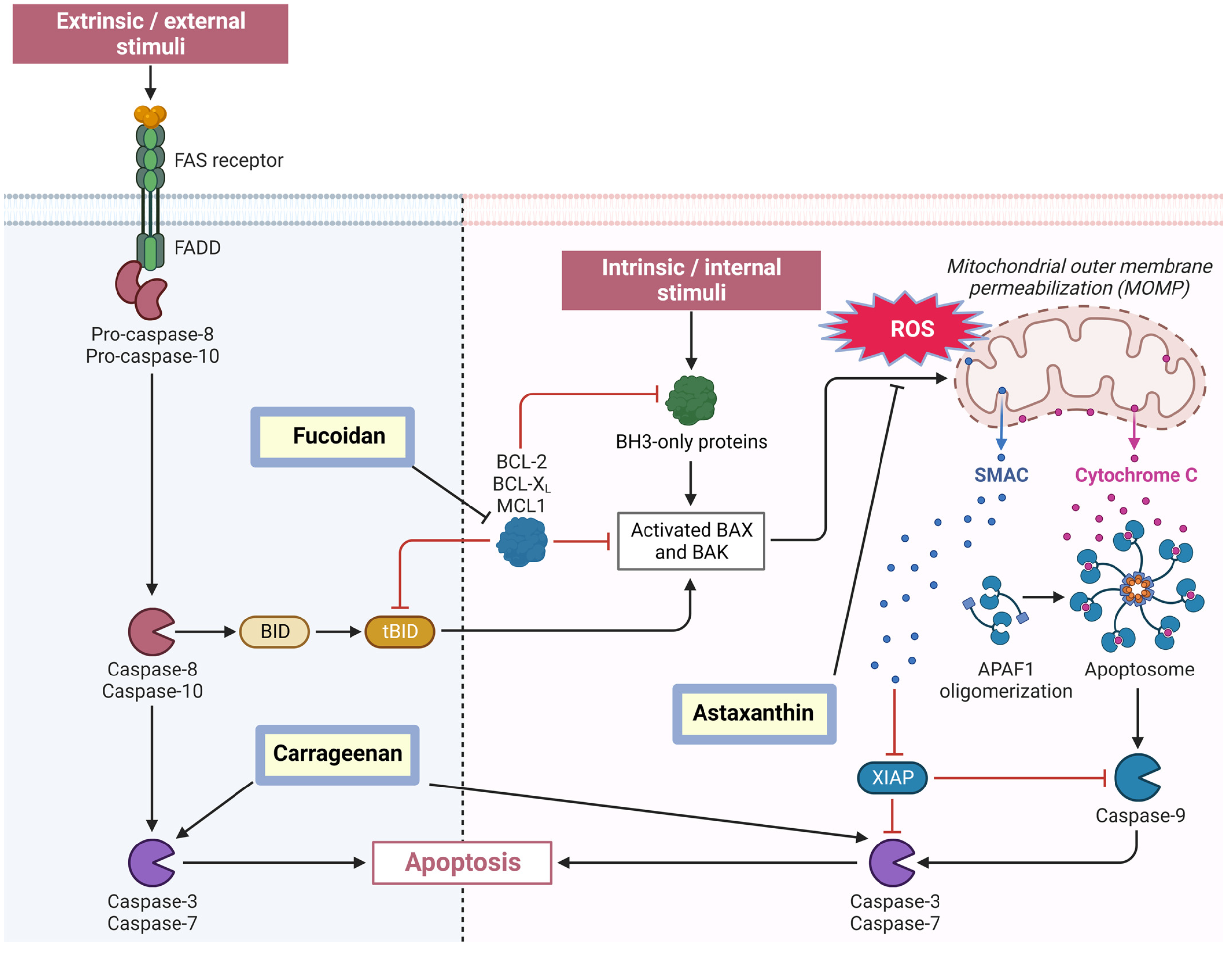 Molecules 29 04695 g002