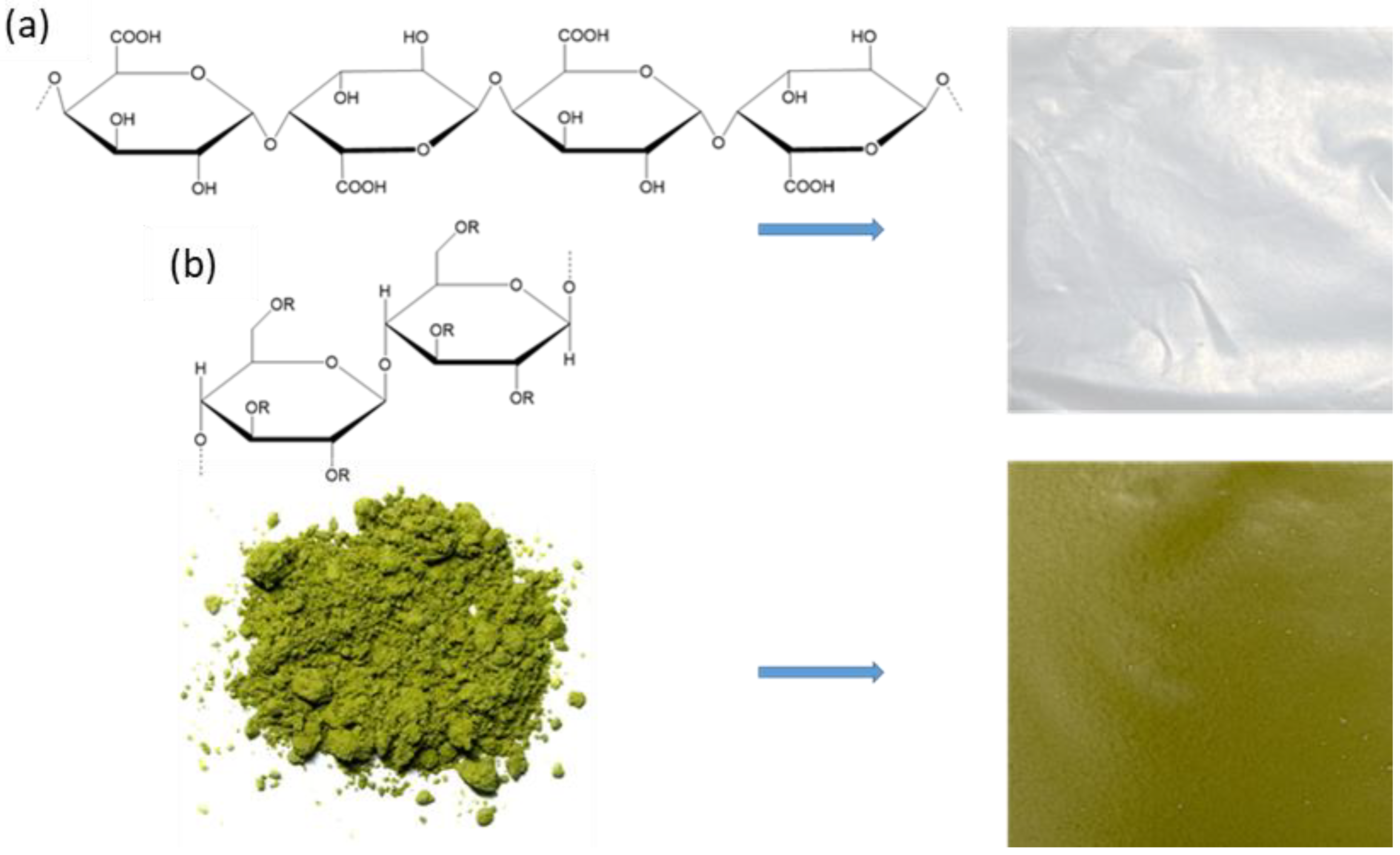 Molecules 29 04699 g001
