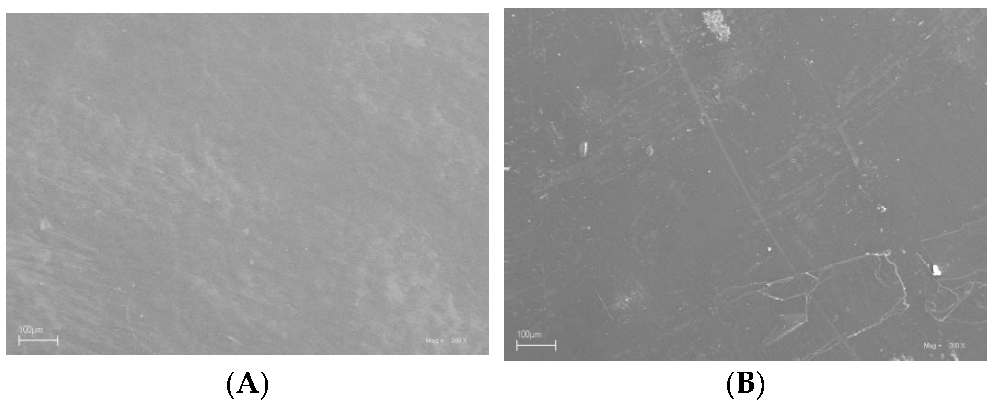 Molecules 29 04699 g007a