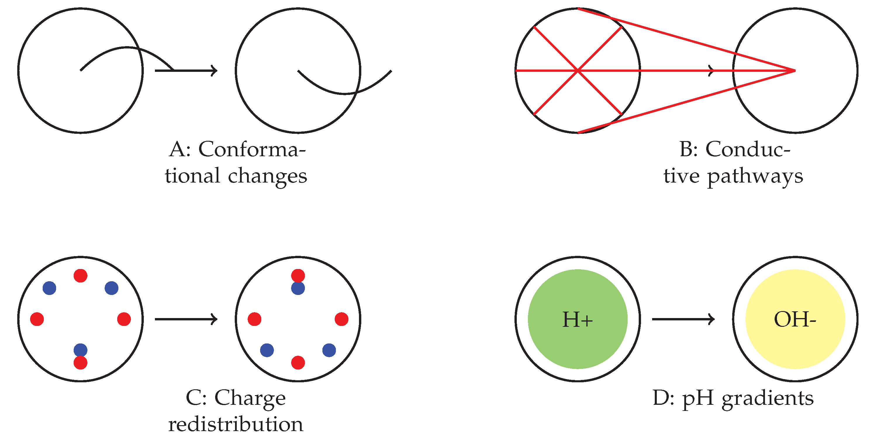 Molecules 29 04700 g010