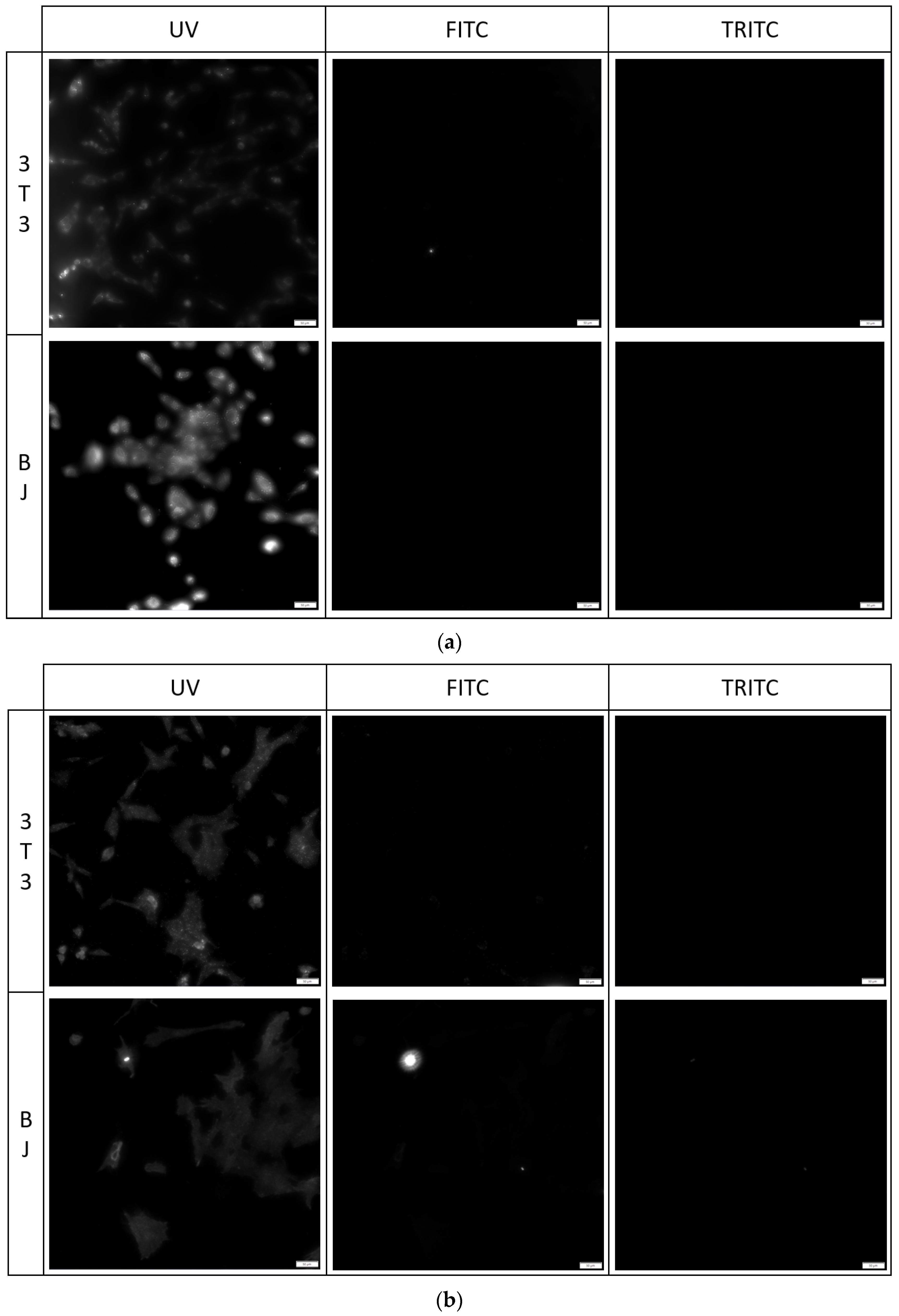 Molecules 29 04703 g007