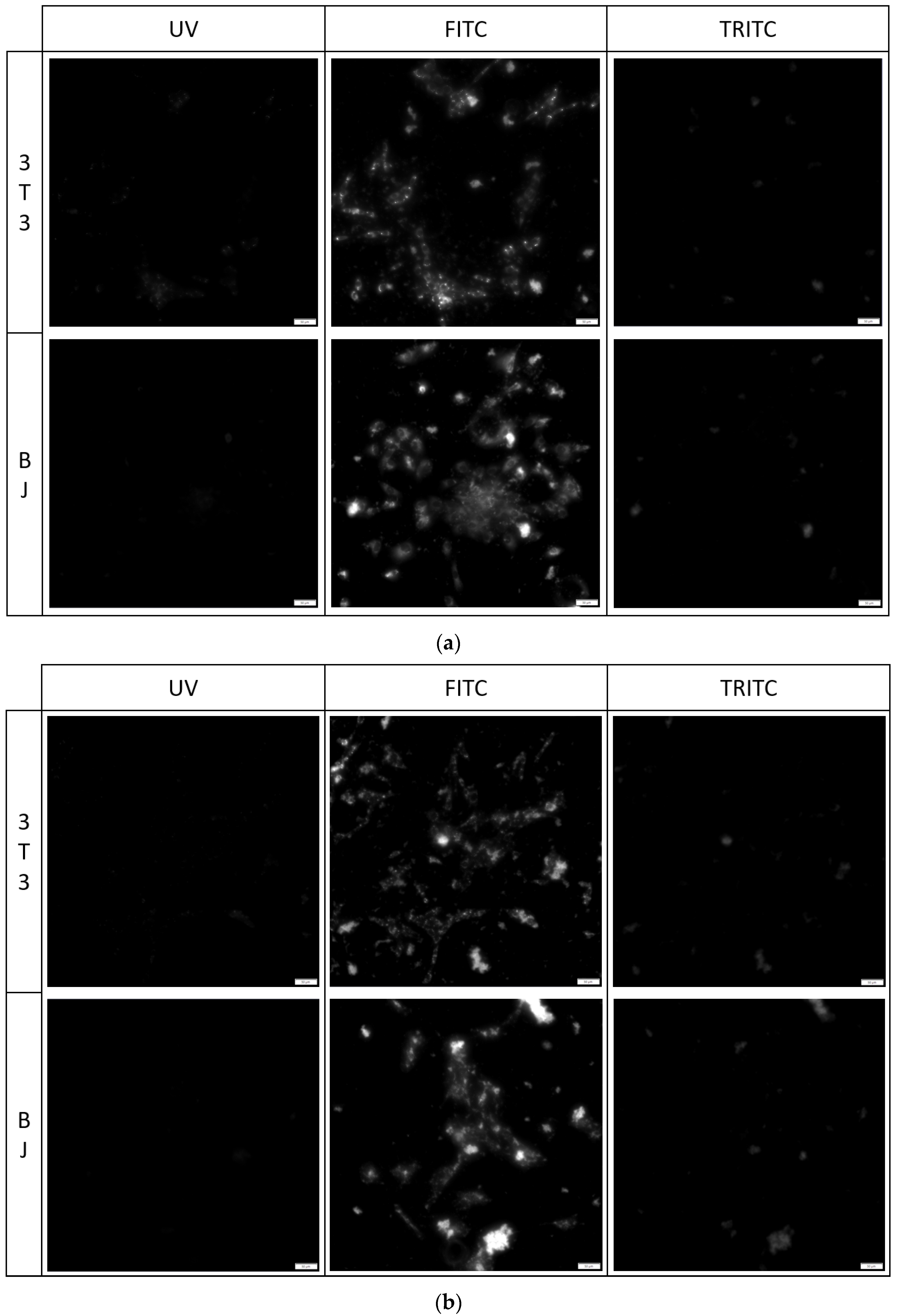 Molecules 29 04703 g008