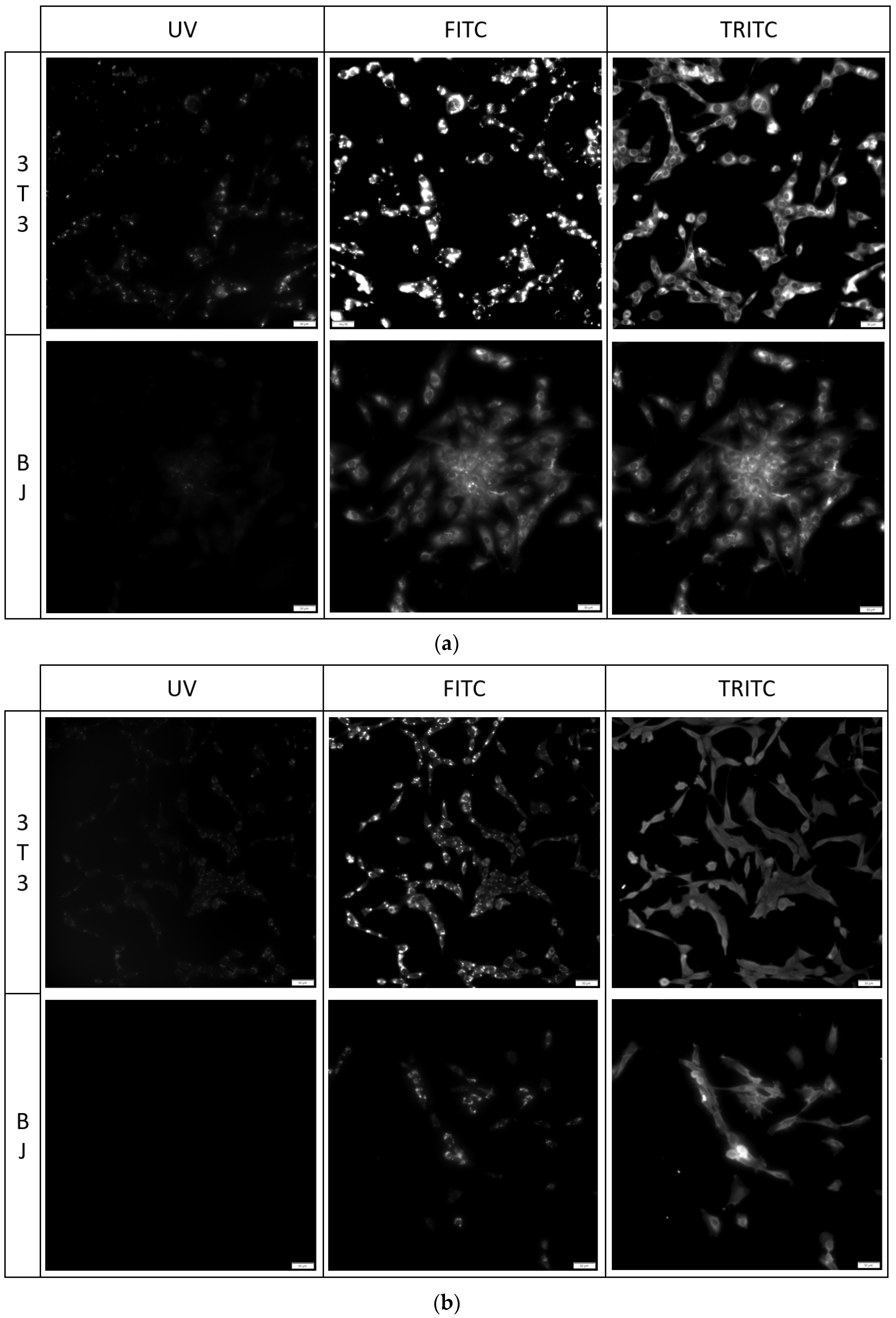 Molecules 29 04703 g009