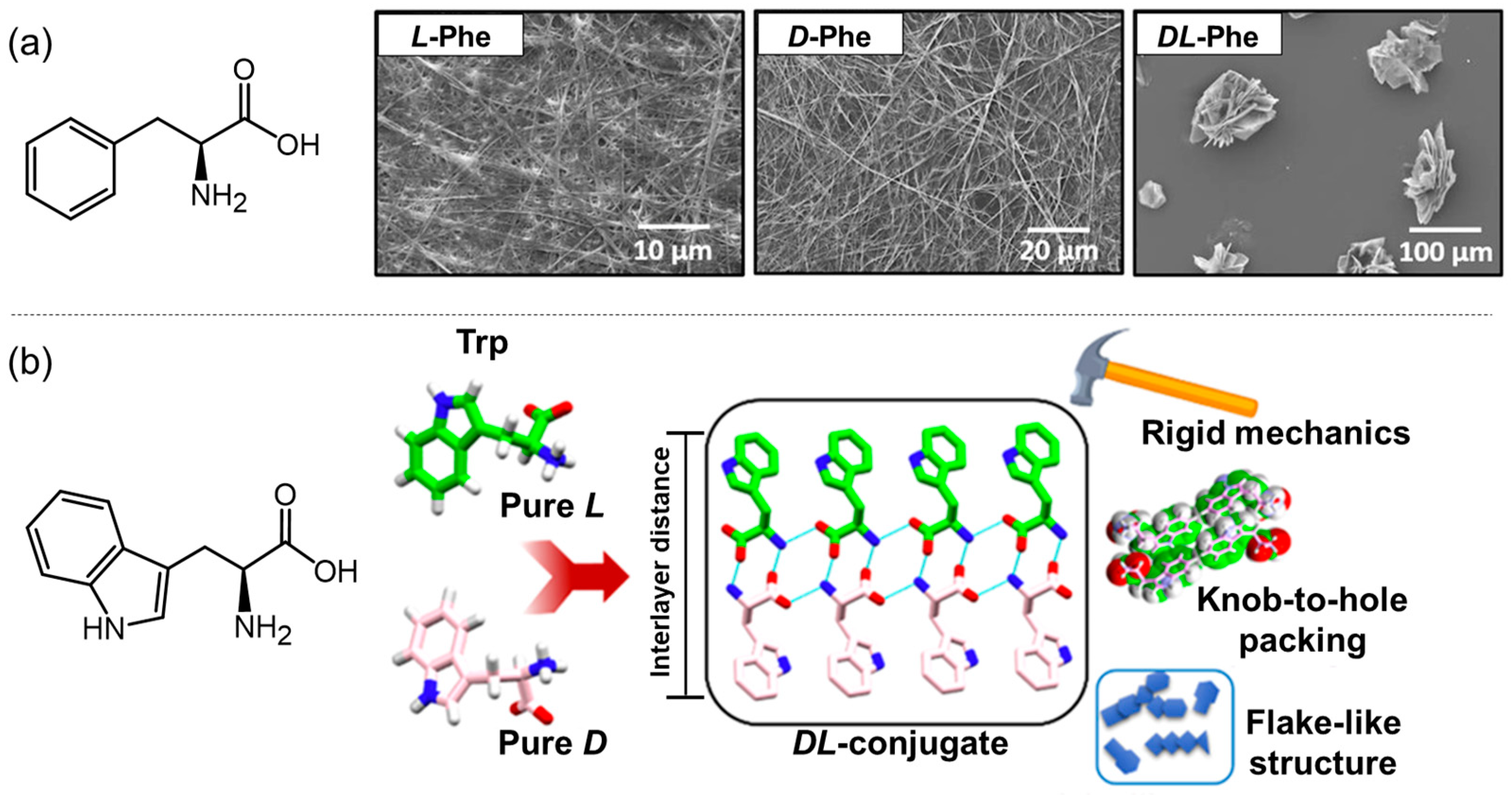 Molecules 29 04705 g004