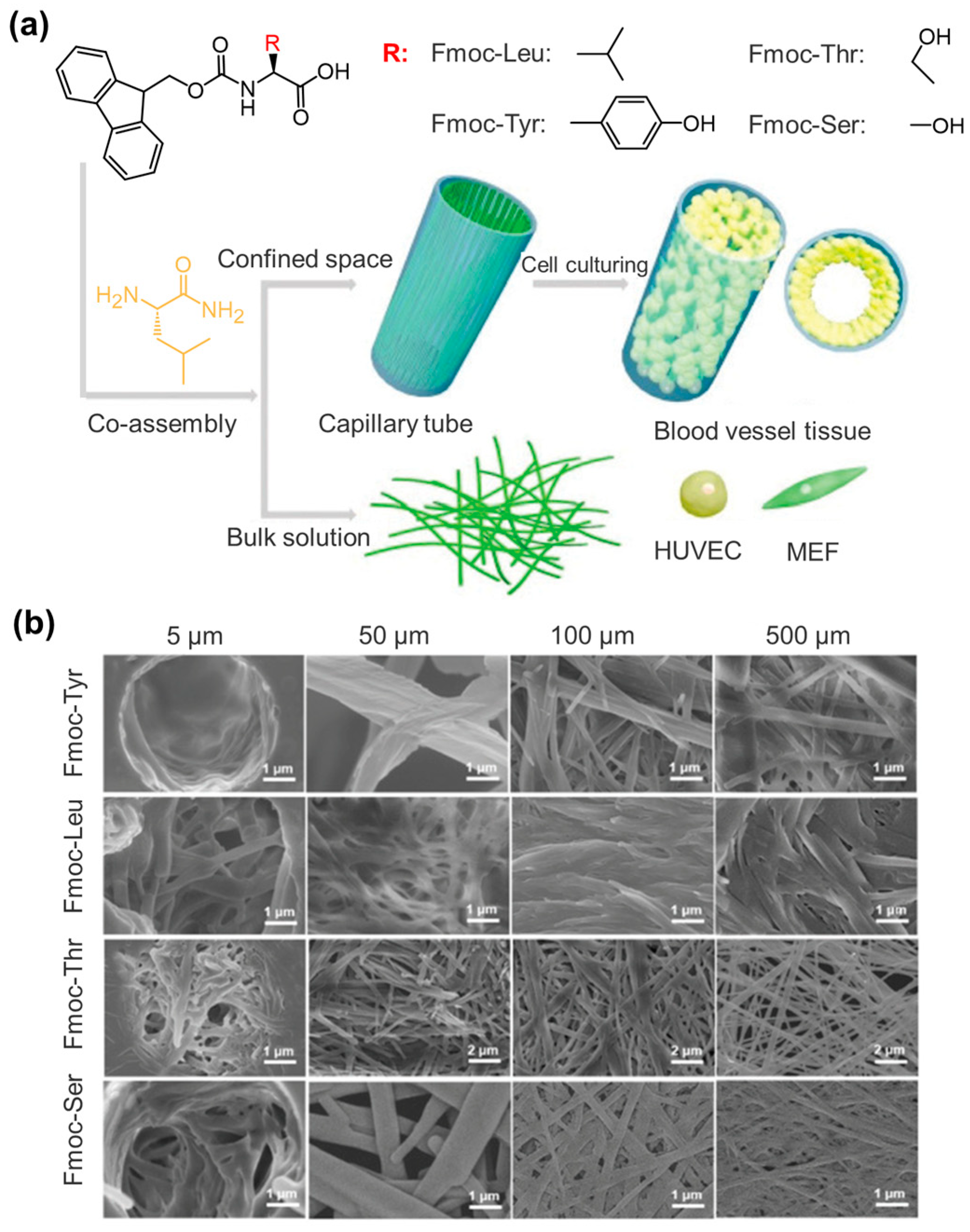 Molecules 29 04705 g018
