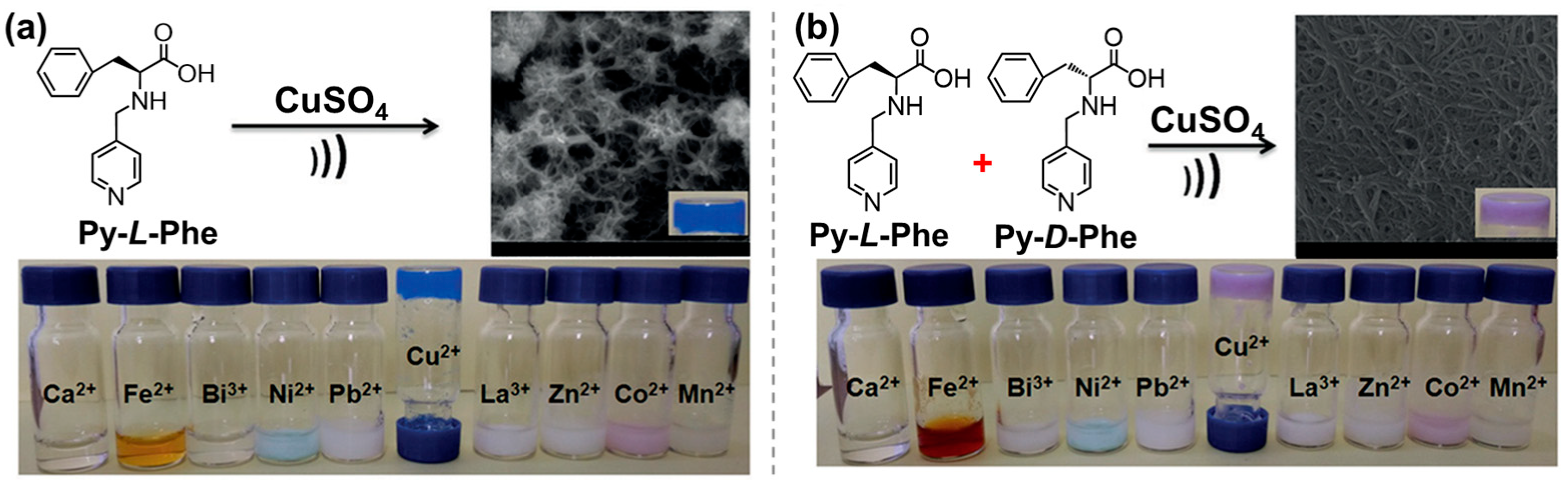 Molecules 29 04705 g022