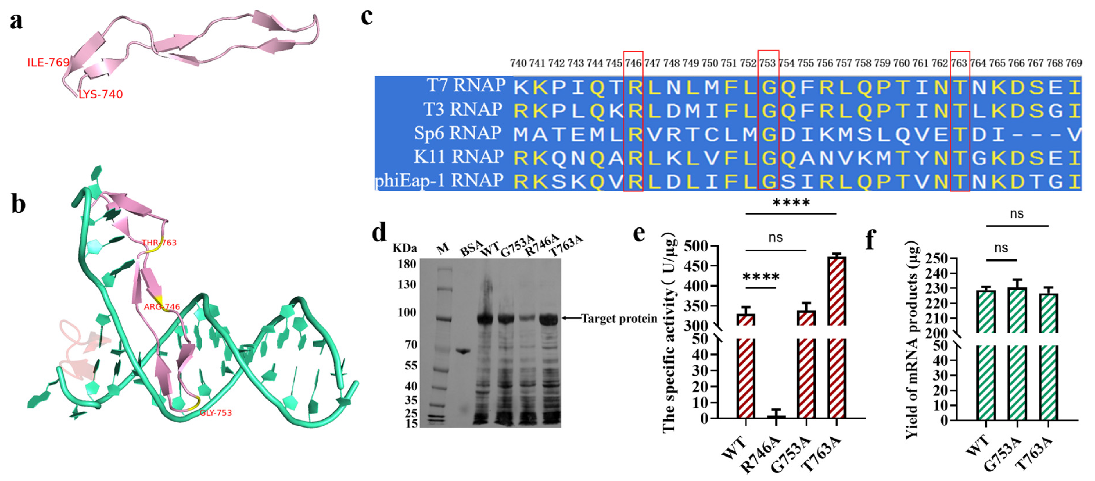 Molecules 29 04713 g002