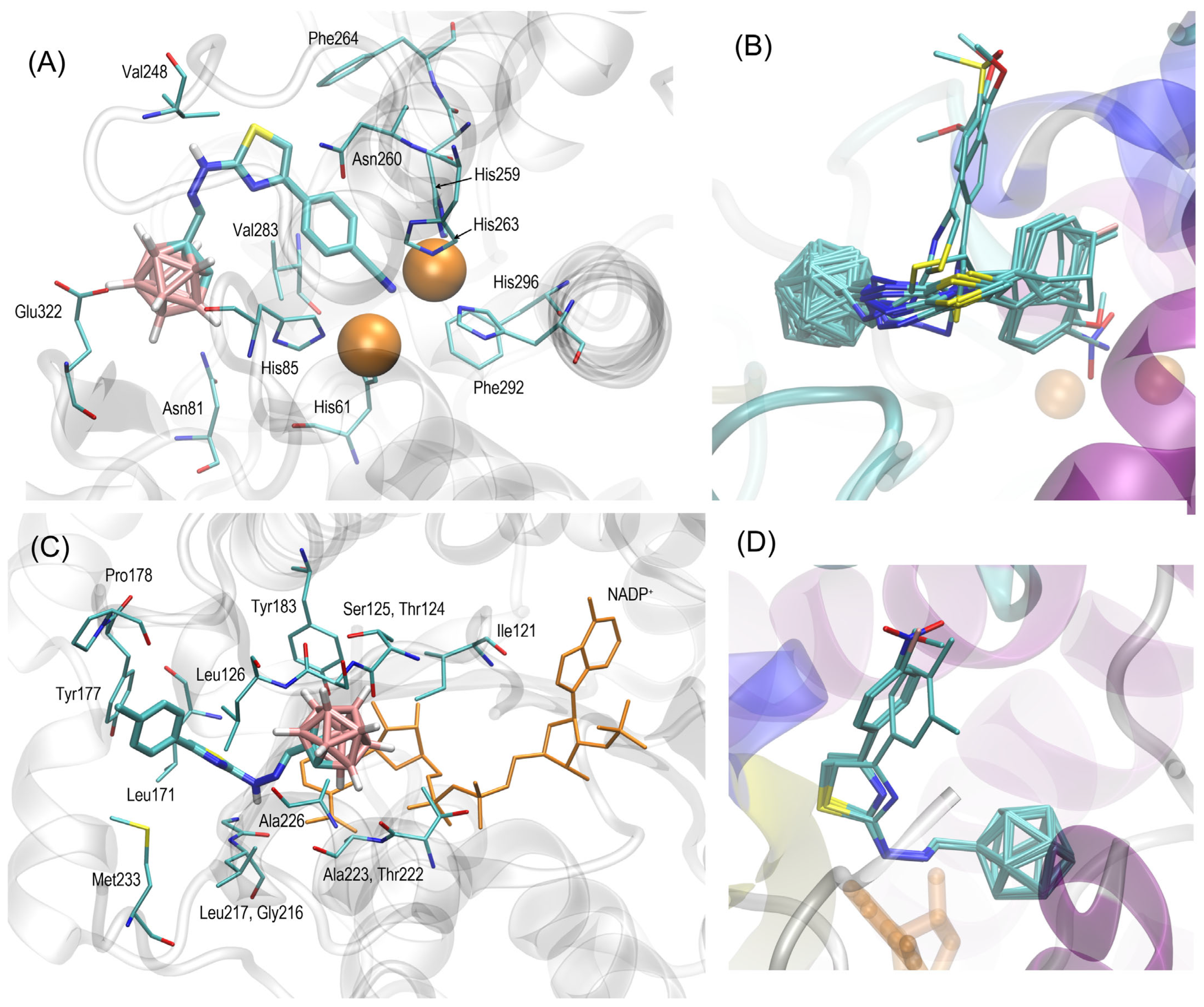 Molecules 29 04716 g003